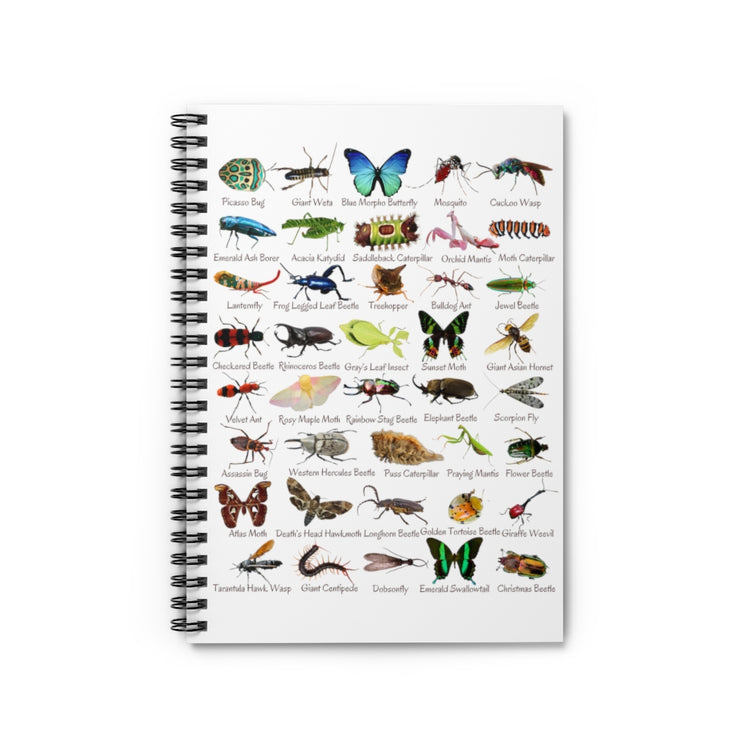 Notebooks