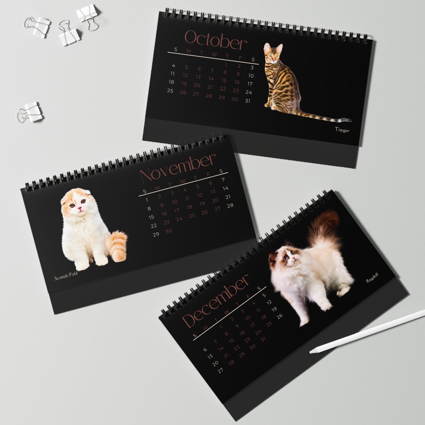 Fantastic Felines of 2026 (Cats) Desktop Calendar