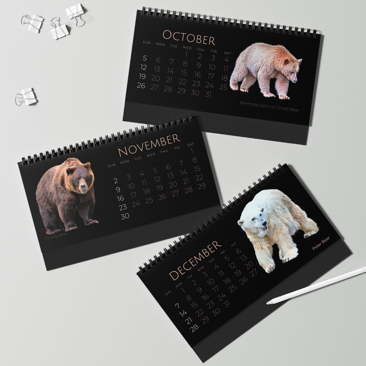 Bodacious Bears of 2025 Desktop Calendar