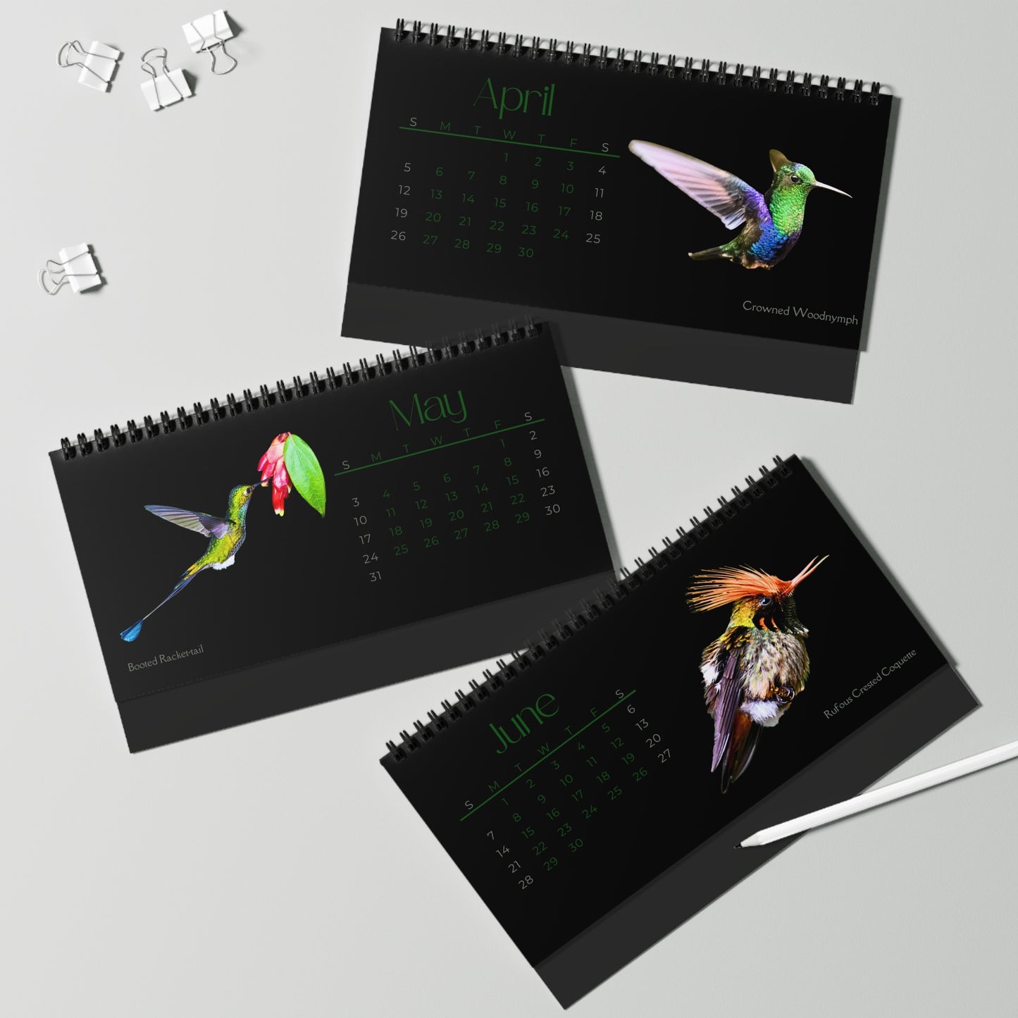 Real Hummingbirds of 2026 Desktop Calendar