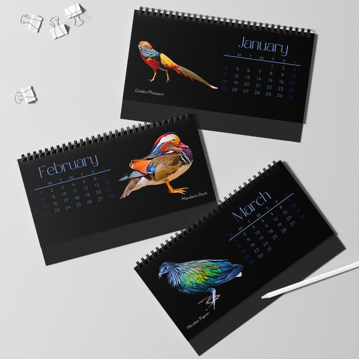 Brilliant Birds of 2026 Desktop Calendar