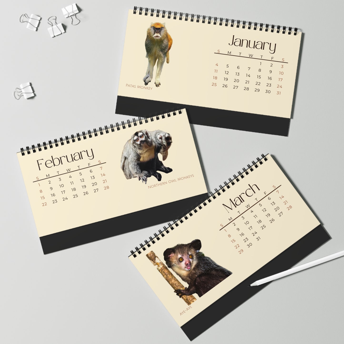 Mightiest Monkeys of 2026 Desktop Calendar