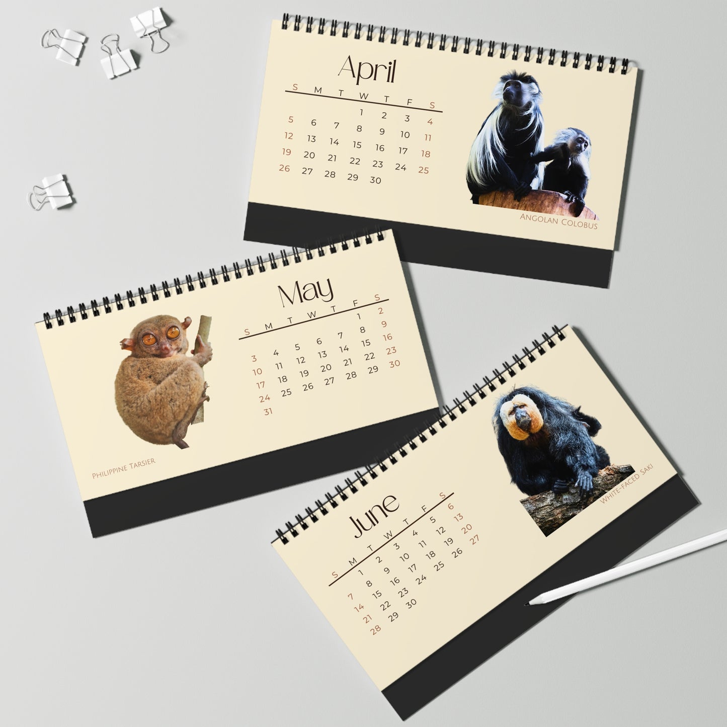 Mightiest Monkeys of 2026 Desktop Calendar