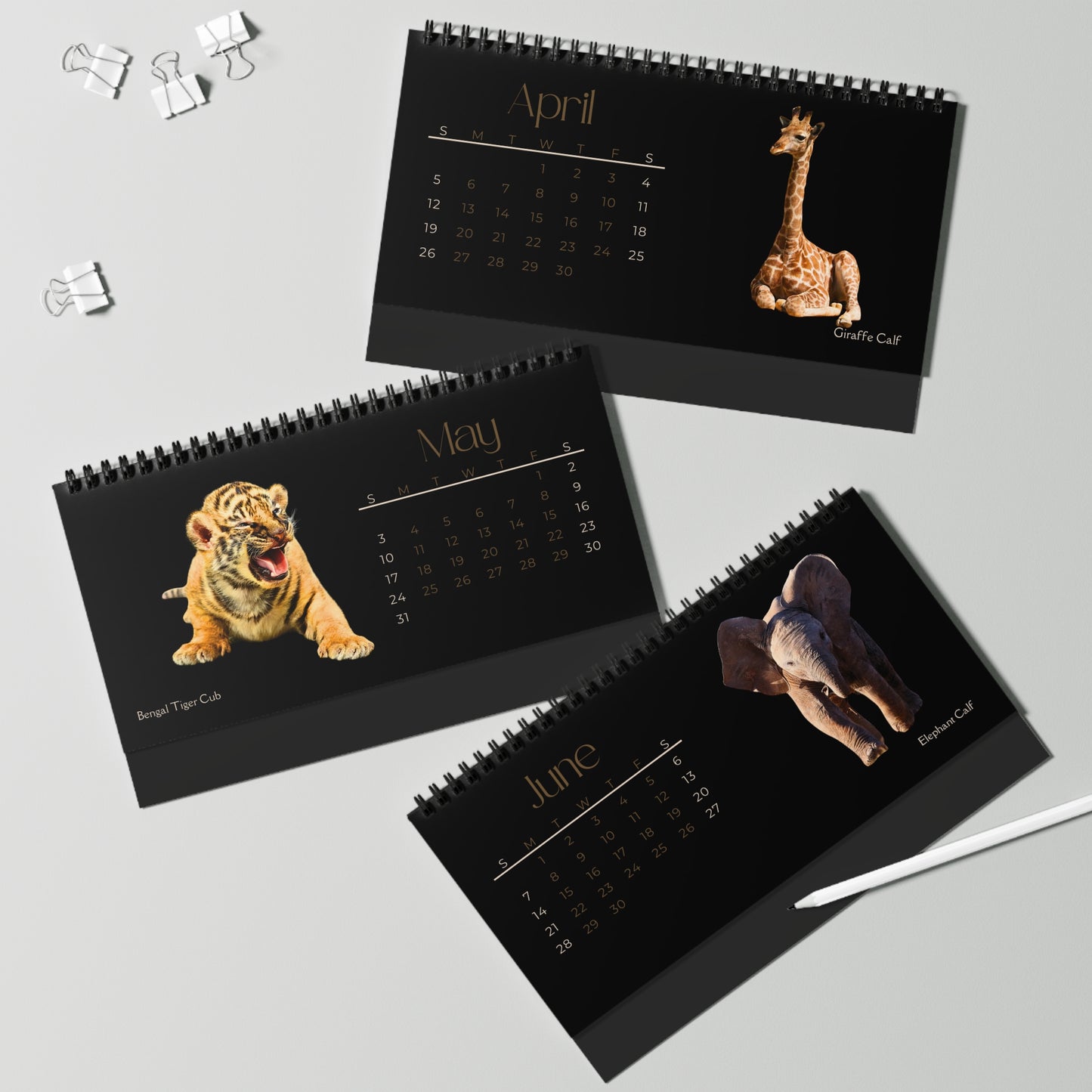 Baby Animals of 2026 Desktop Calendar