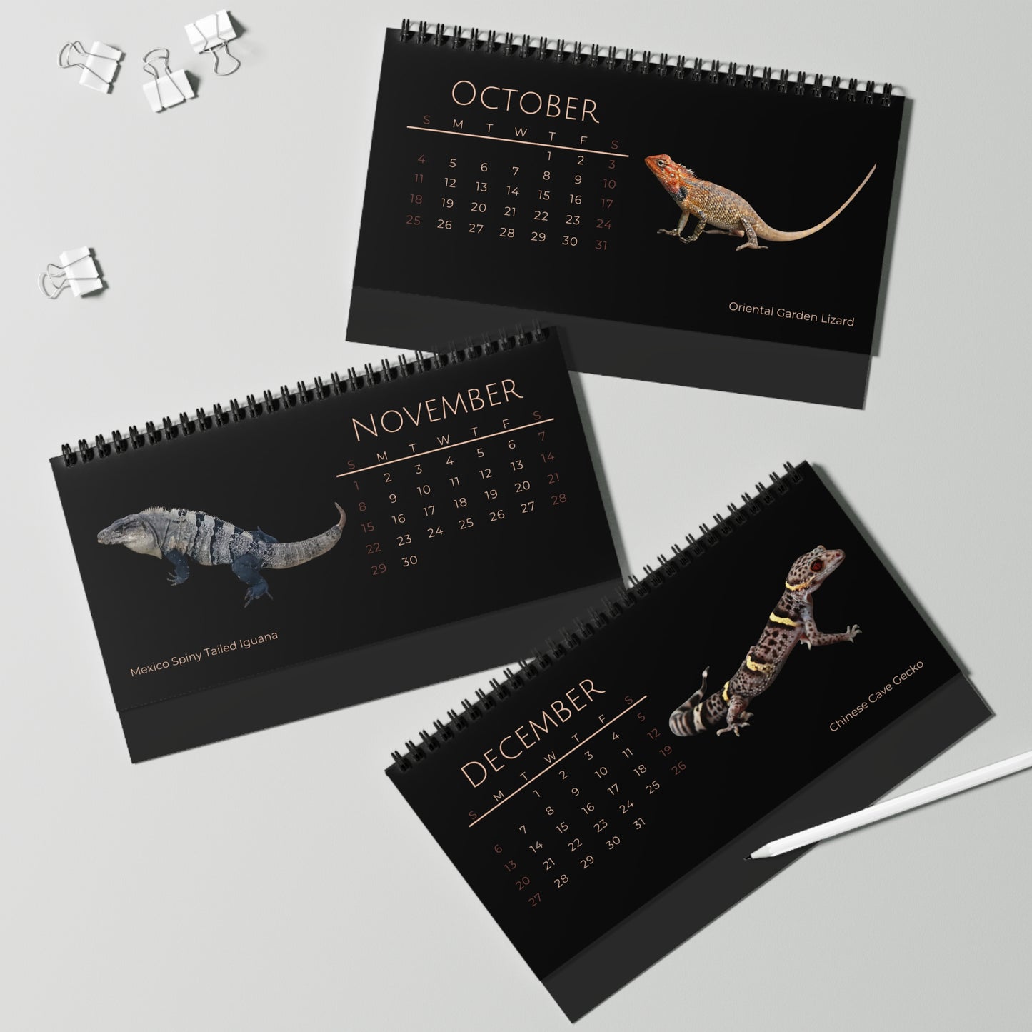 Legendary Lizards of 2026 Desktop Calendar