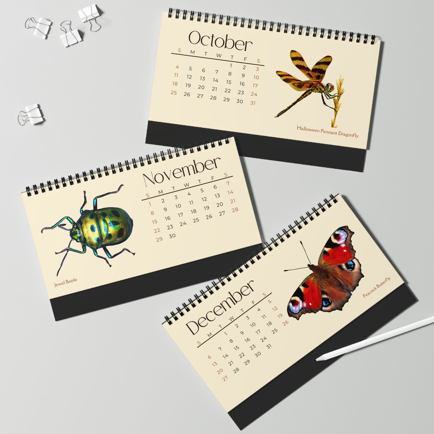 Incredible Insects of 2026 Desktop Calendar