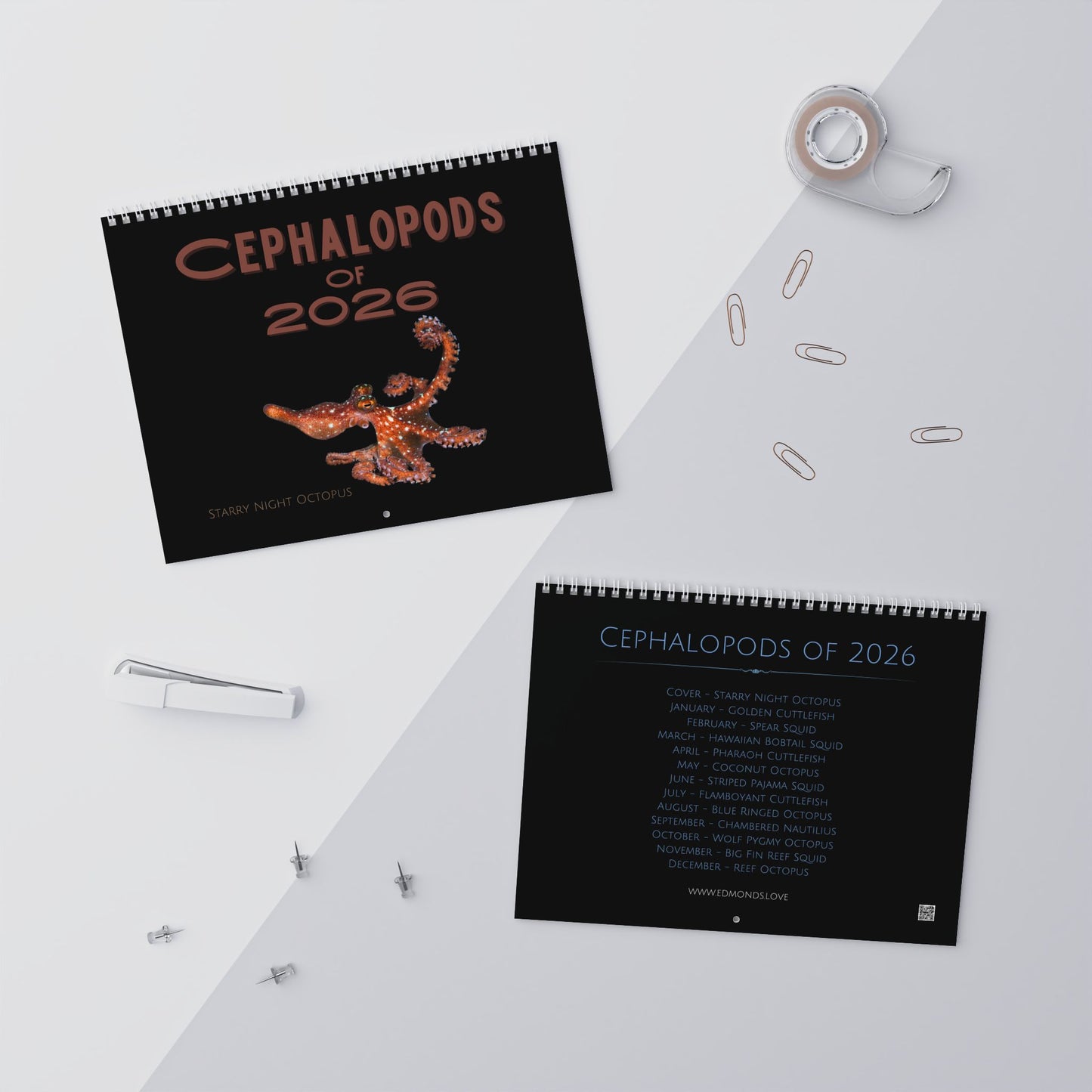 Cephalopods of 2026 Wall Calendar