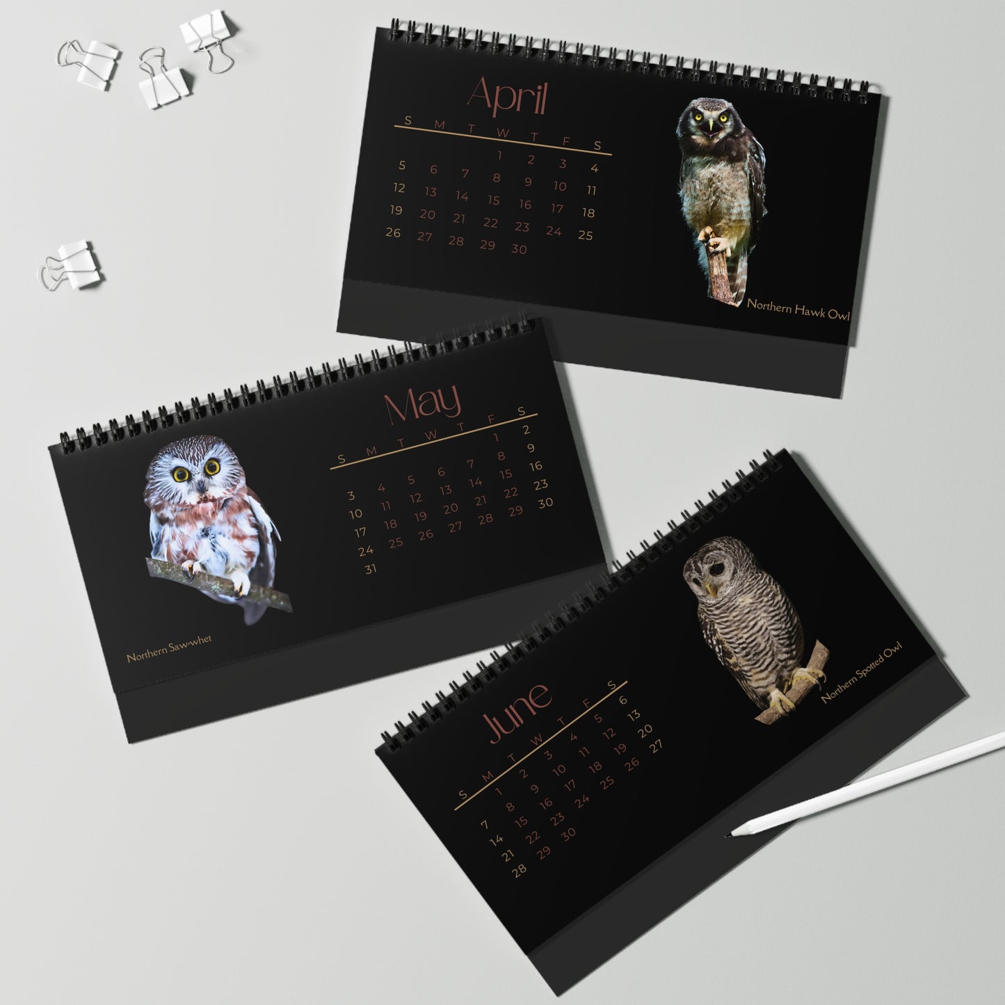 Owls of 2026 Desktop Calendar
