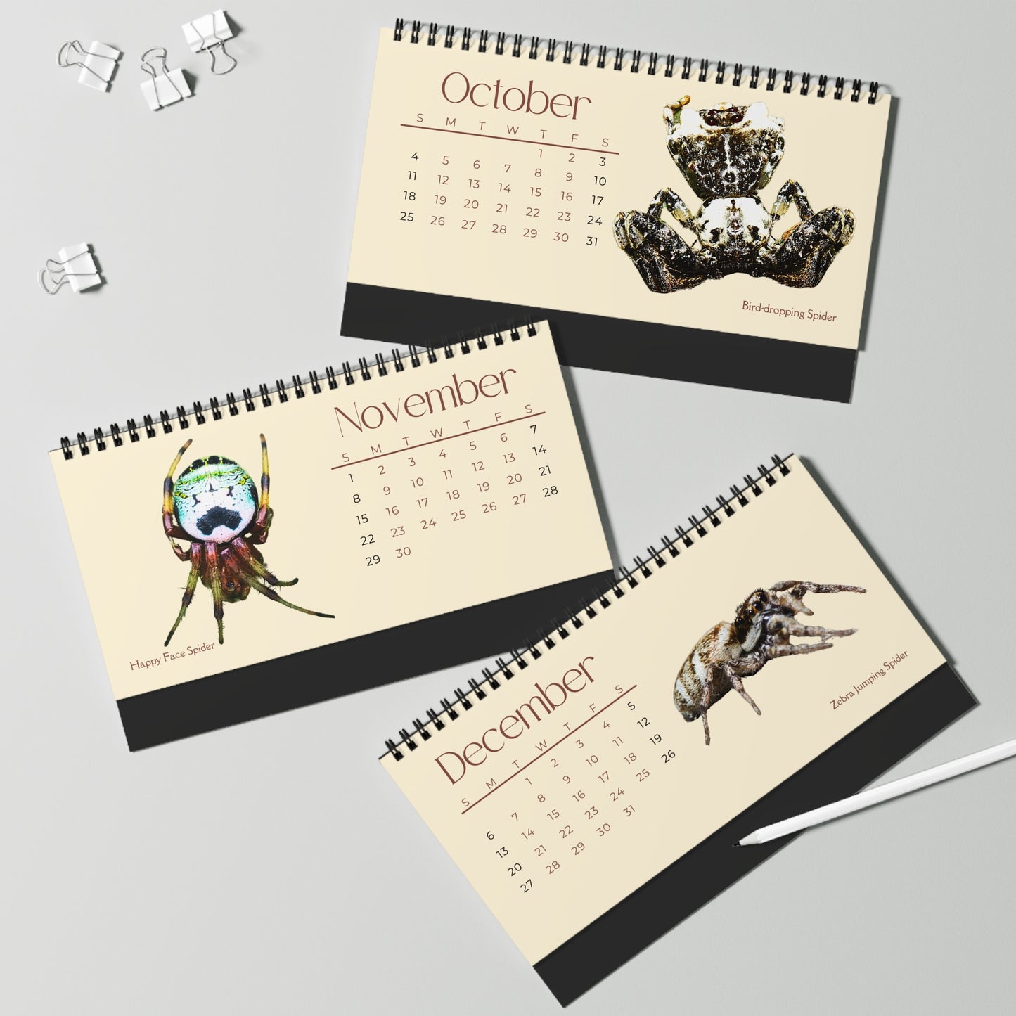 Spiders of 2026 Desktop Calendar