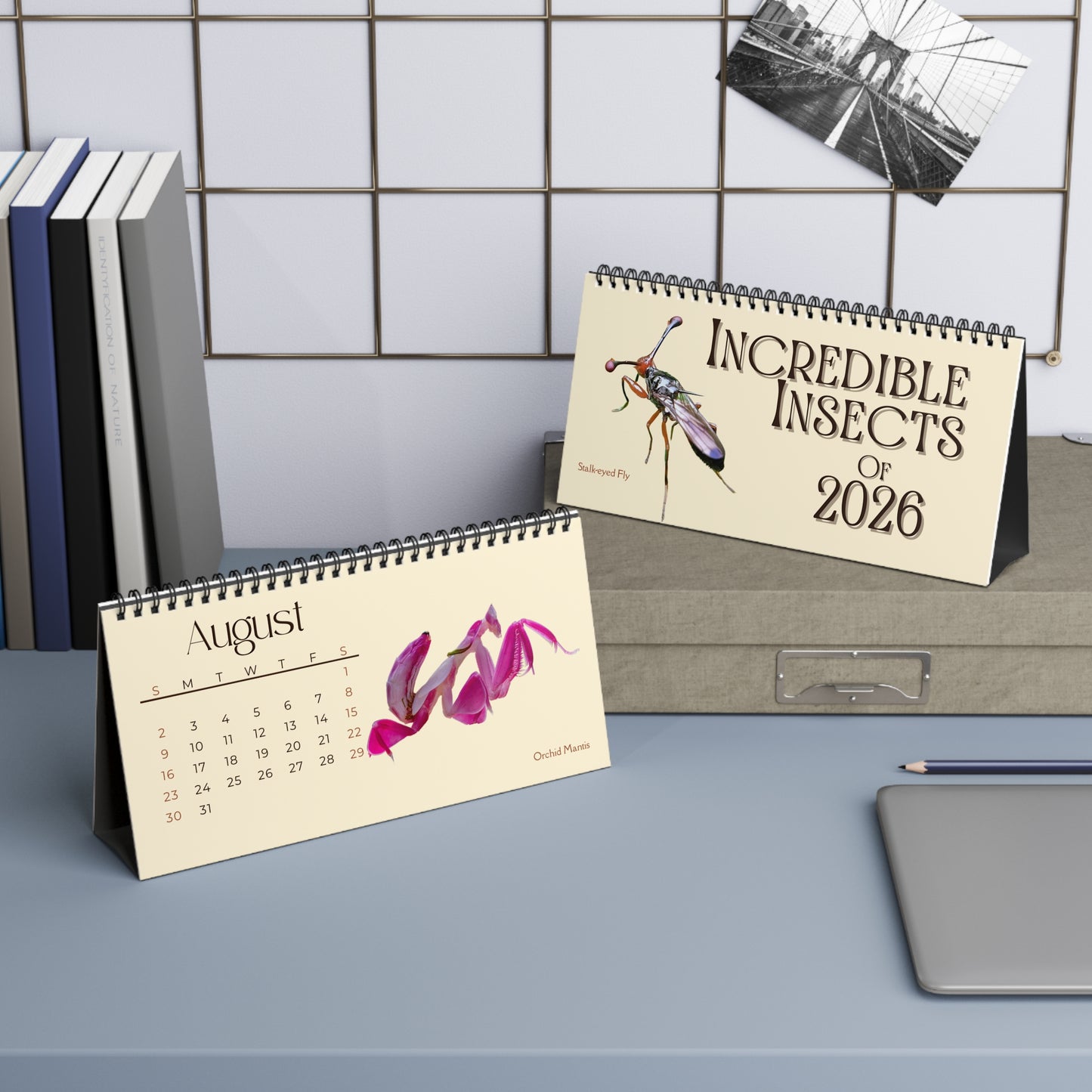 Incredible Insects of 2026 Desktop Calendar