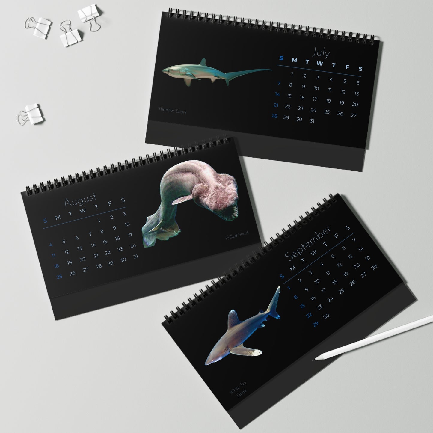 Sharks of 2024 Desk Calendar