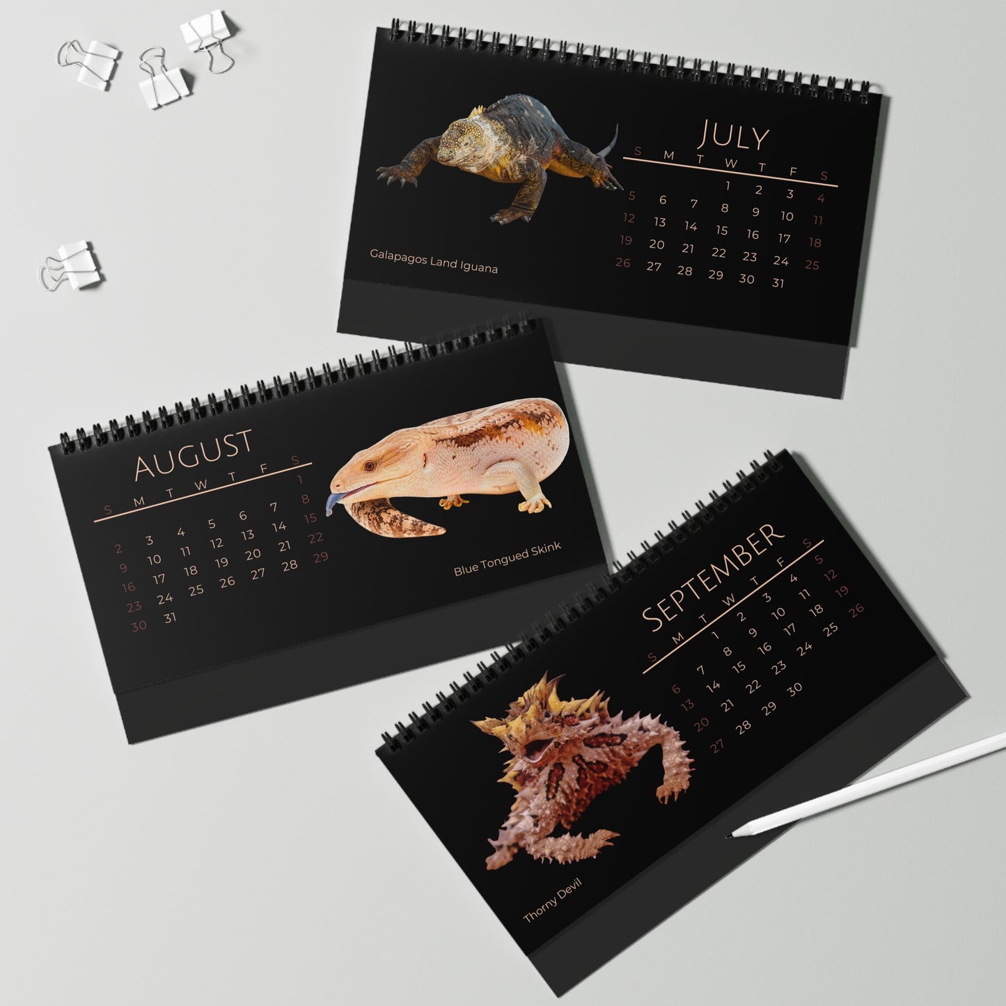 Legendary Lizards of 2026 Desktop Calendar