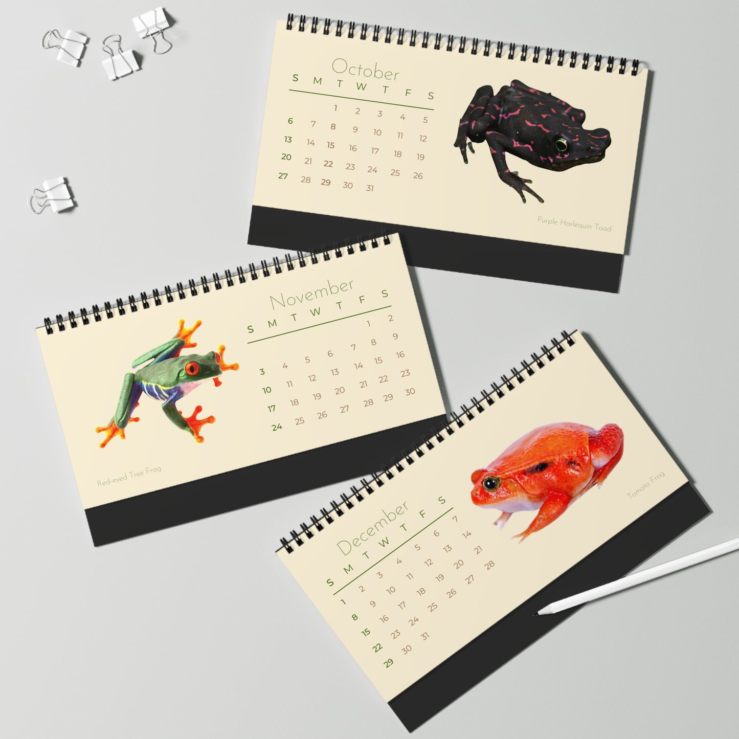 Frogs & Toads of 2024 Desk Calendar