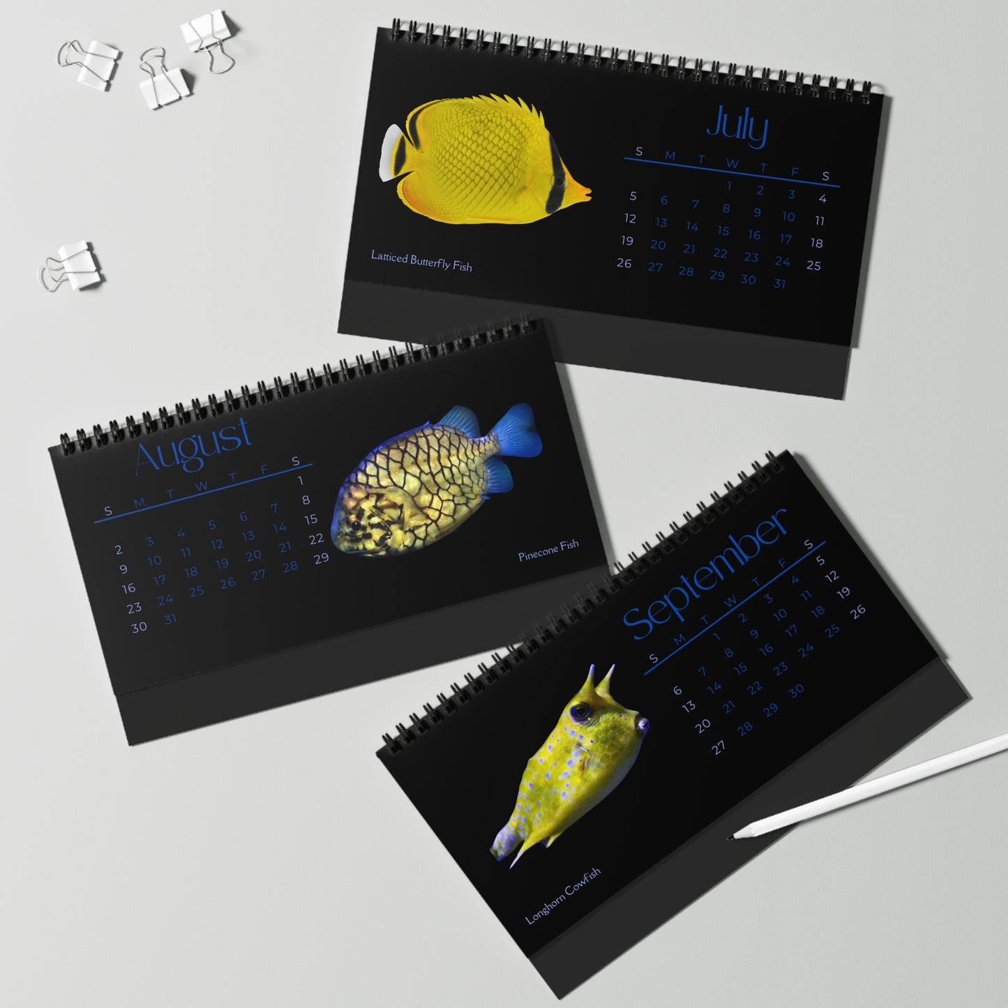 Fabulous Fish of 2026 Desktop Calendar
