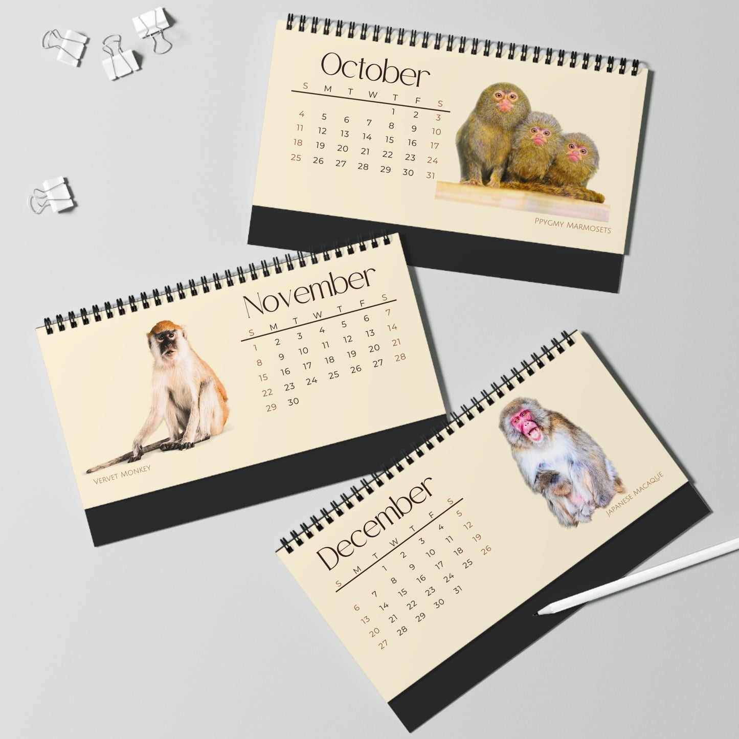 Mightiest Monkeys of 2026 Desktop Calendar