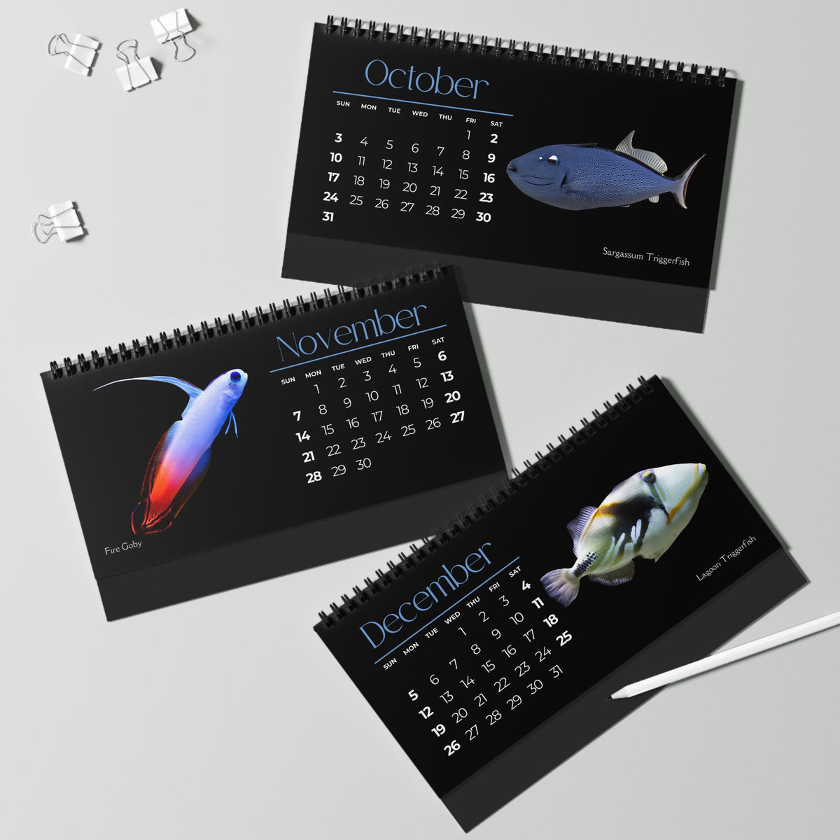 Fabulous Fish of 2027 Desktop Calendar