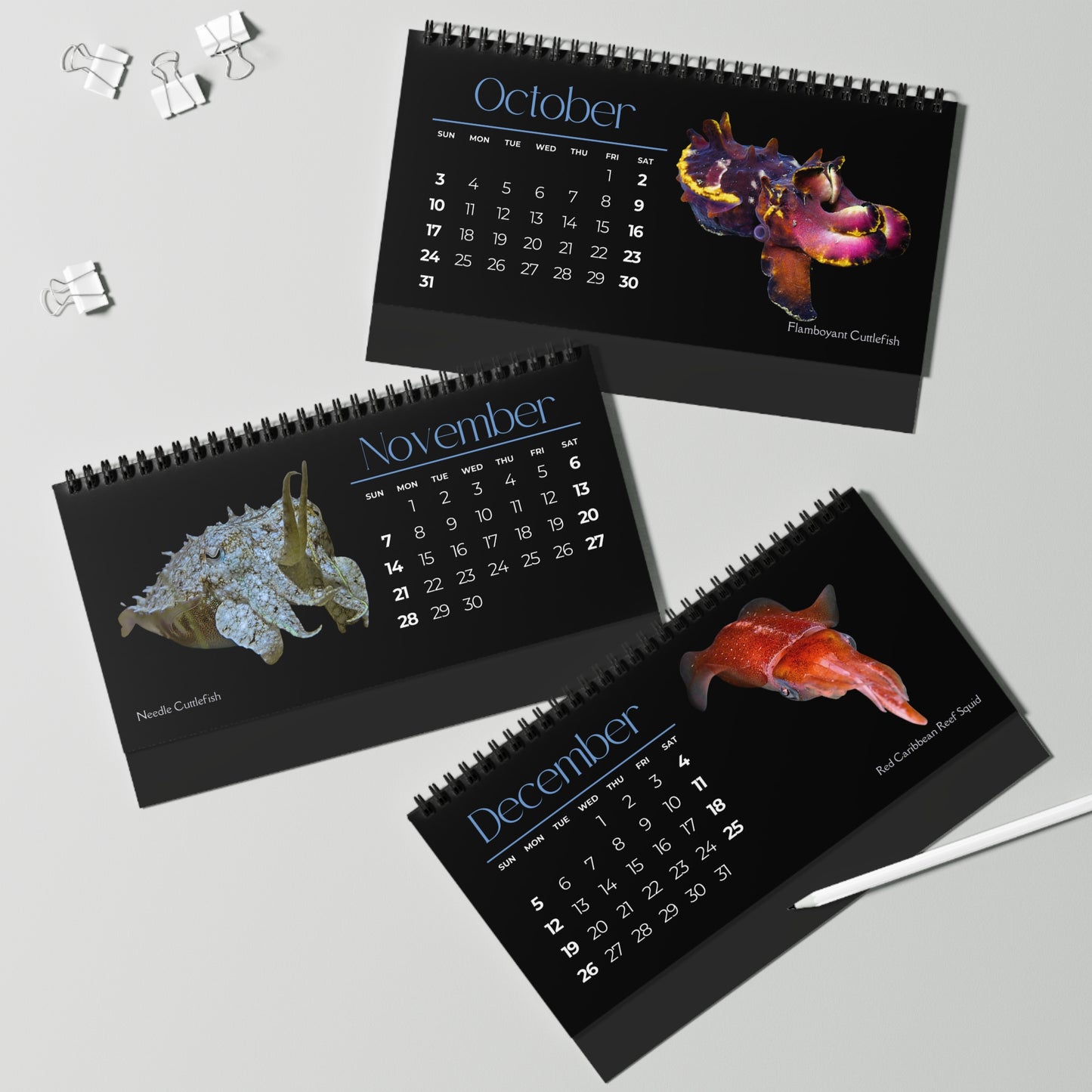 Cephalopods of 2027 Desktop Calendar