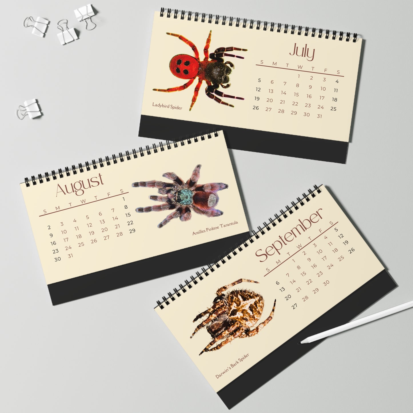Spiders of 2026 Desktop Calendar