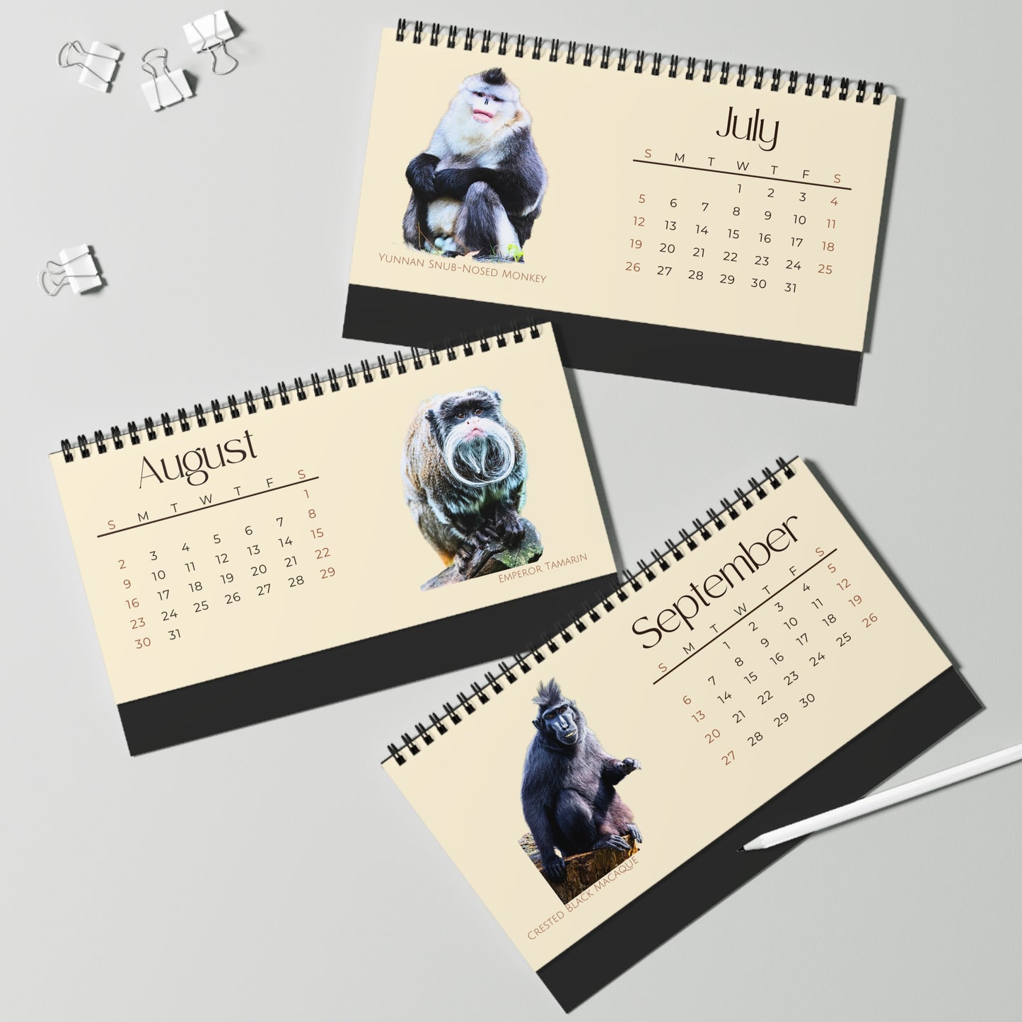 Mightiest Monkeys of 2026 Desktop Calendar