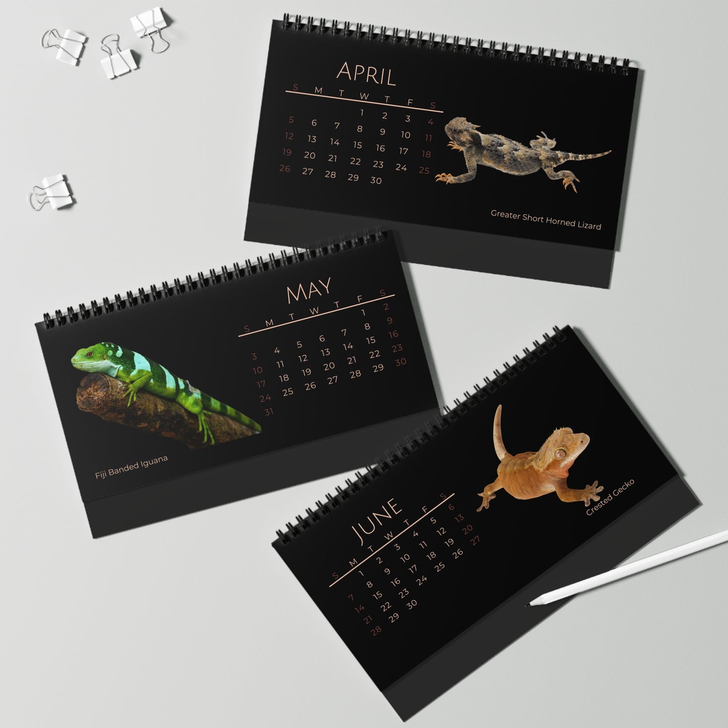 Legendary Lizards of 2026 Desktop Calendar