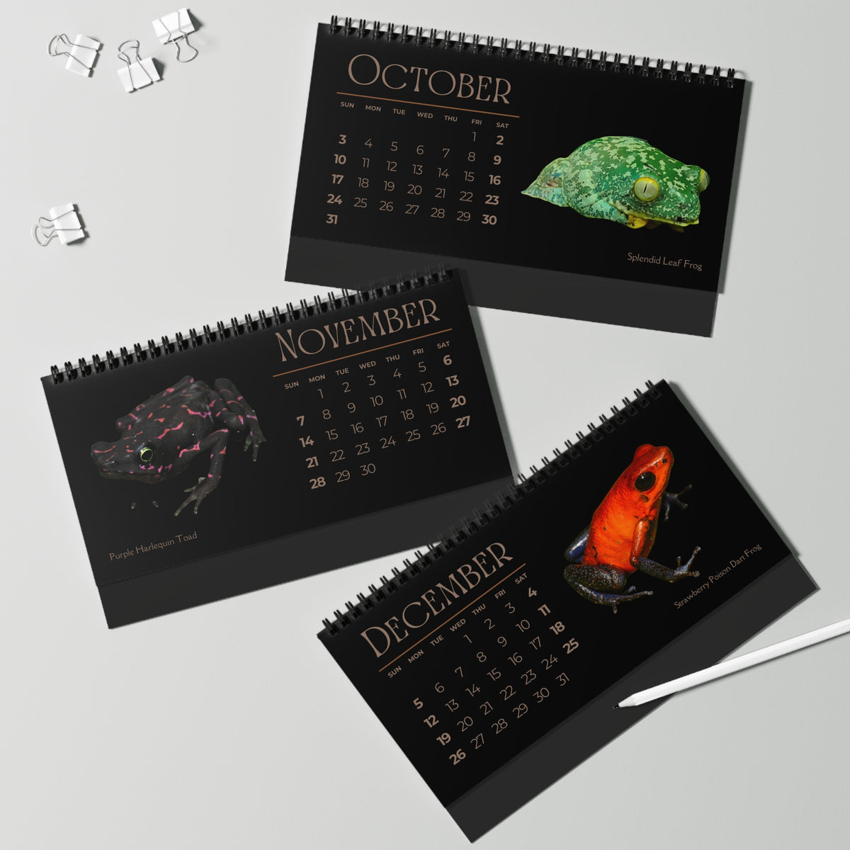 Frogs & Toads of 2027 Desktop Calendar