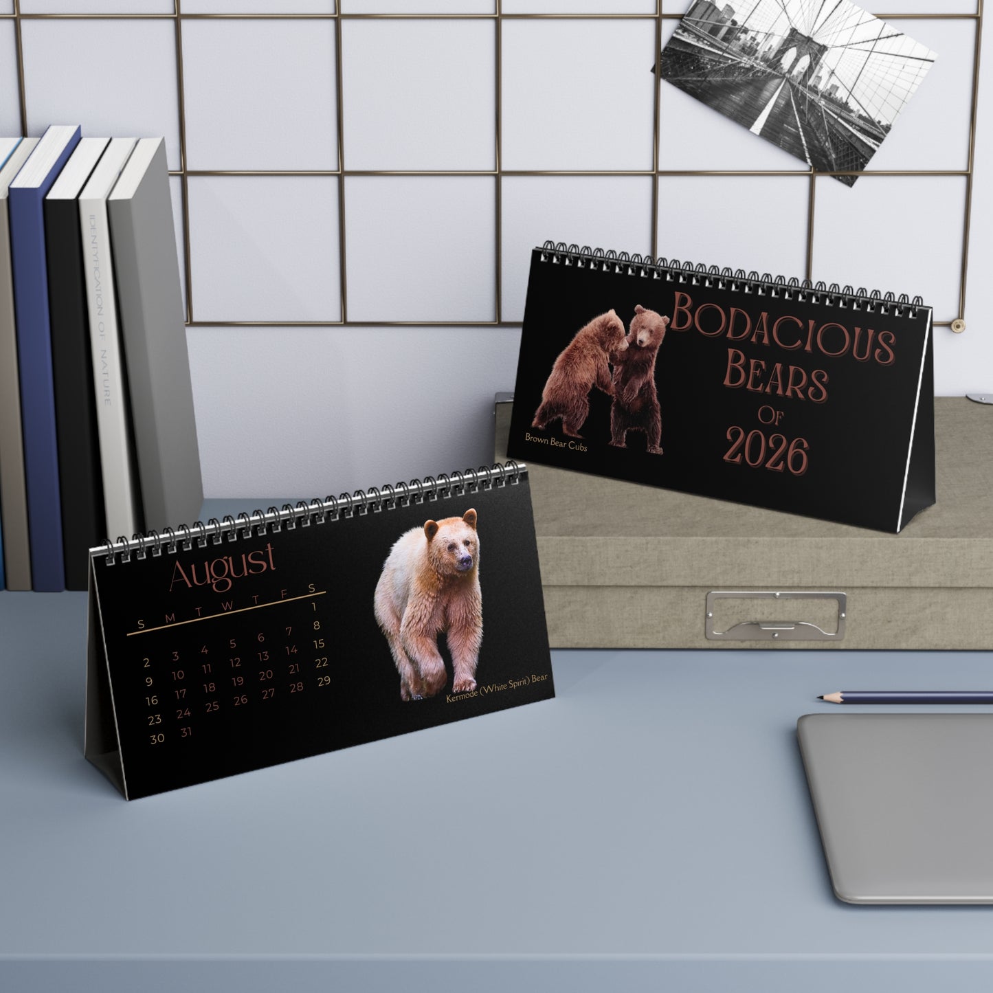 Bodacious Bears of 2026 Desktop Calendar