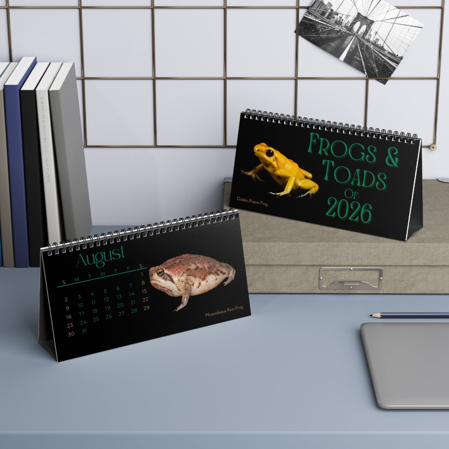 Frogs & Toads of 2026 Desktop Calendar