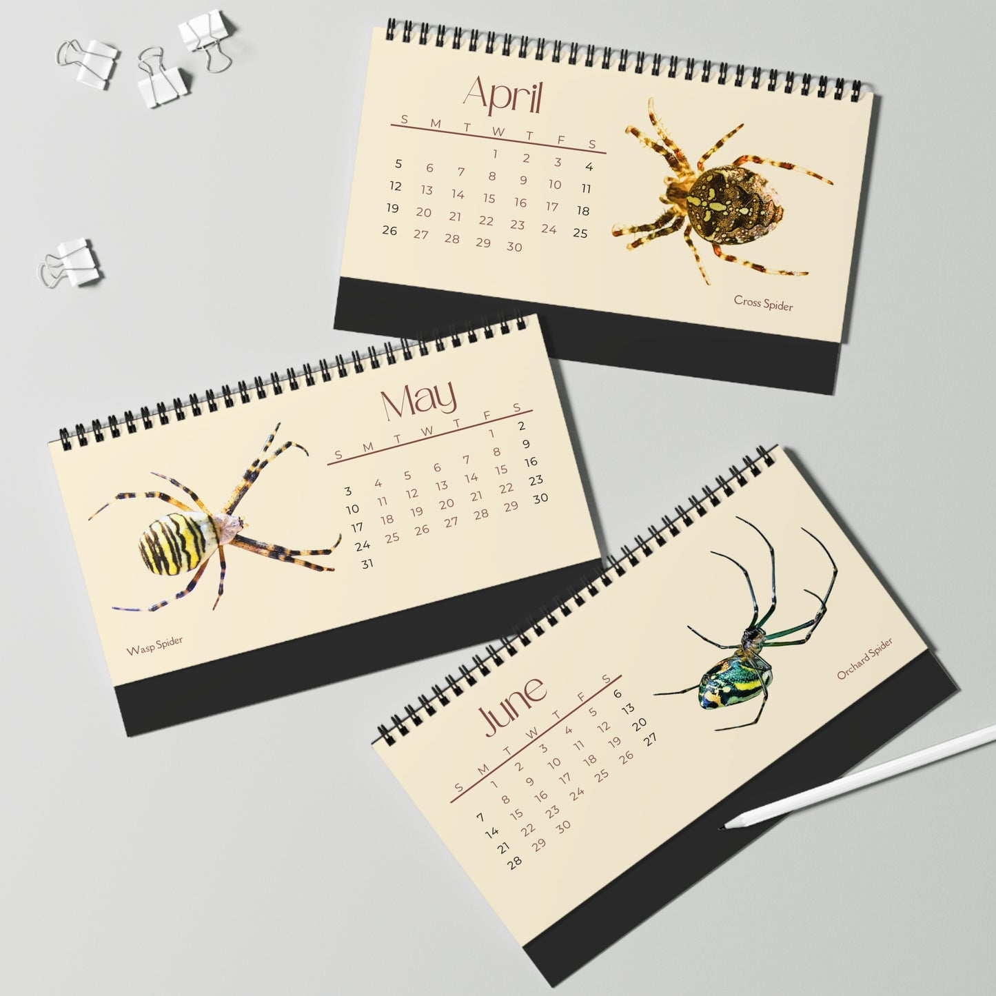 Spiders of 2026 Desktop Calendar