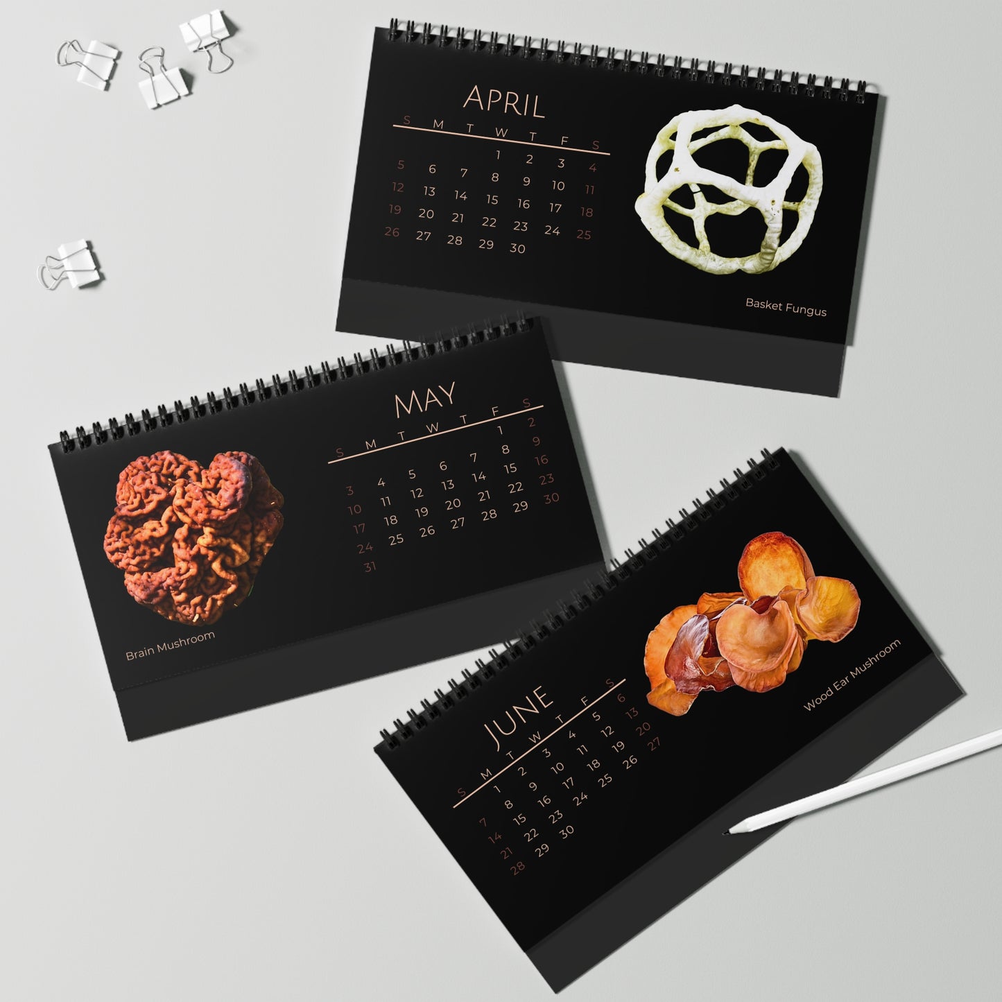 Magical Mushrooms of 2026 Desktop Calendar