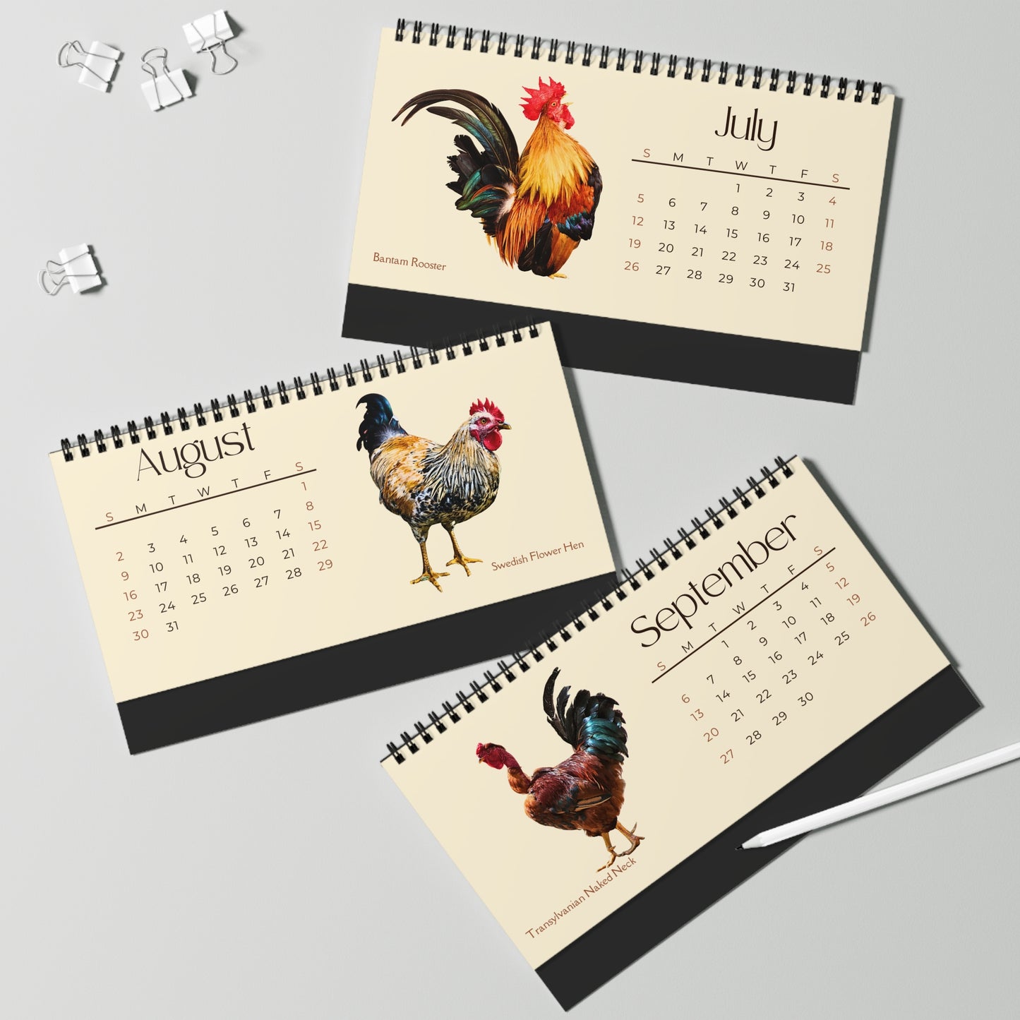 Charming Chickens of 2026 Desktop Calendar