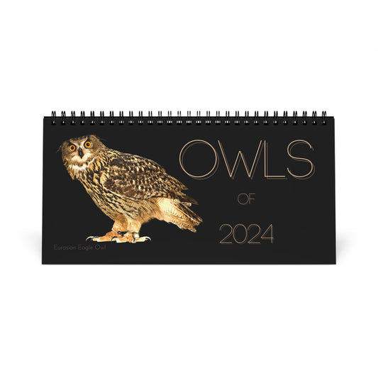 Owls of 2024 Desk Calendar