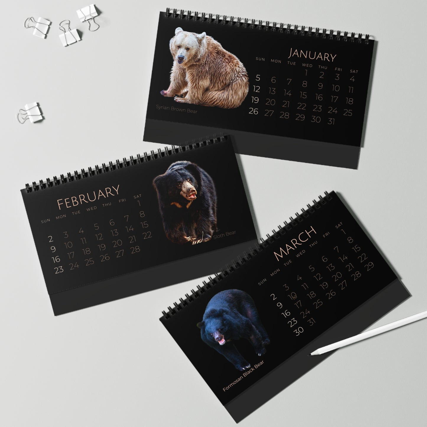 Bodacious Bears of 2025 Desktop Calendar