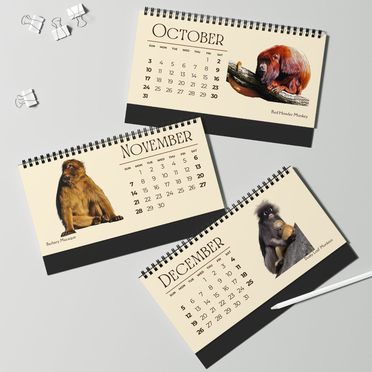 Mightiest Monkeys of 2027 Desktop Calendar