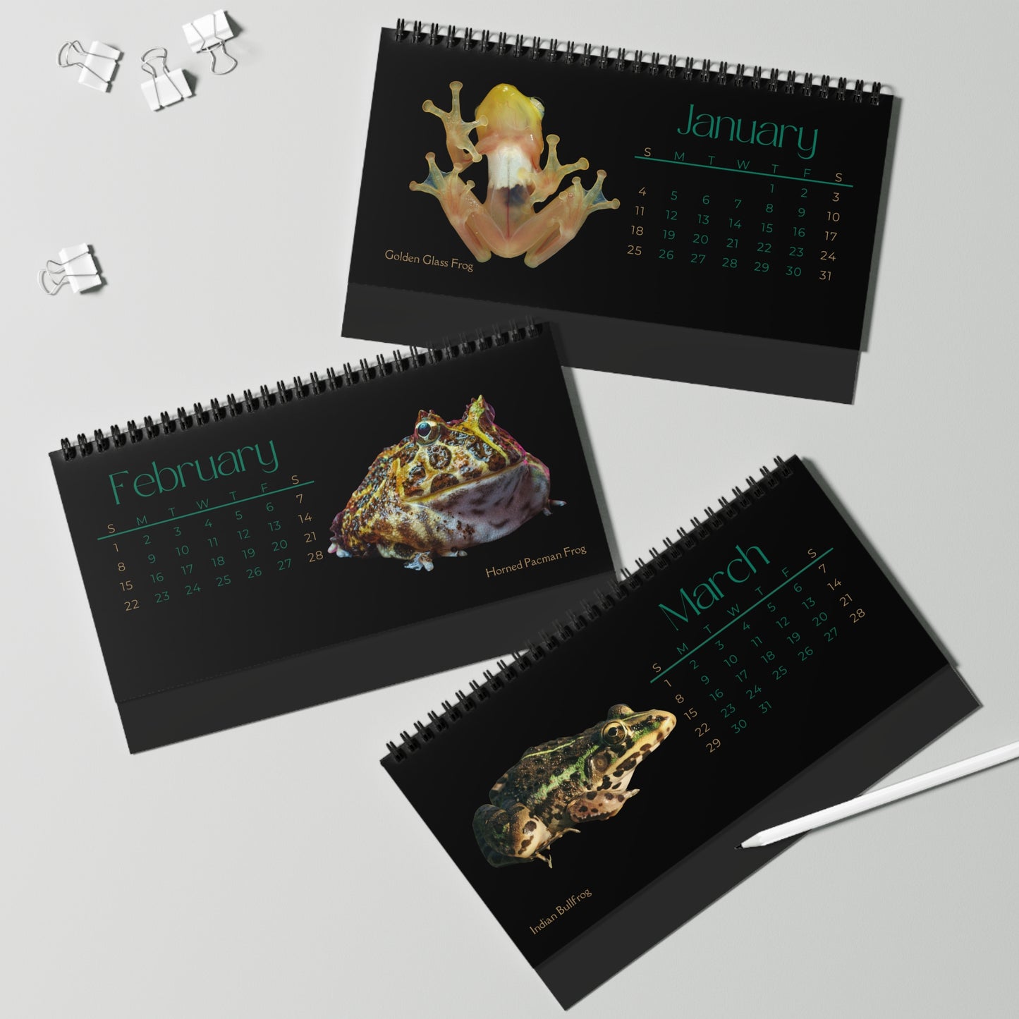 Frogs & Toads of 2026 Desktop Calendar