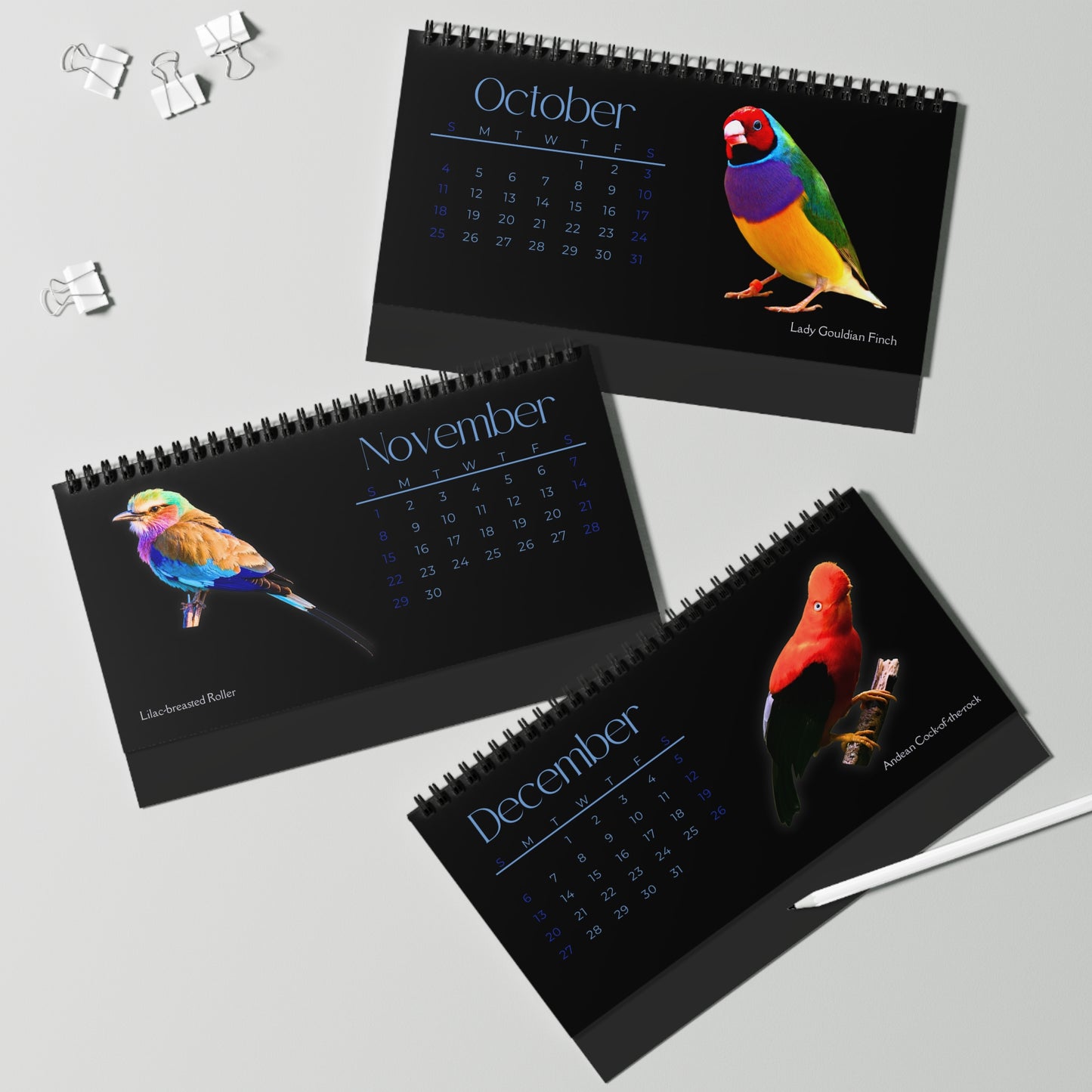 Brilliant Birds of 2026 Desktop Calendar