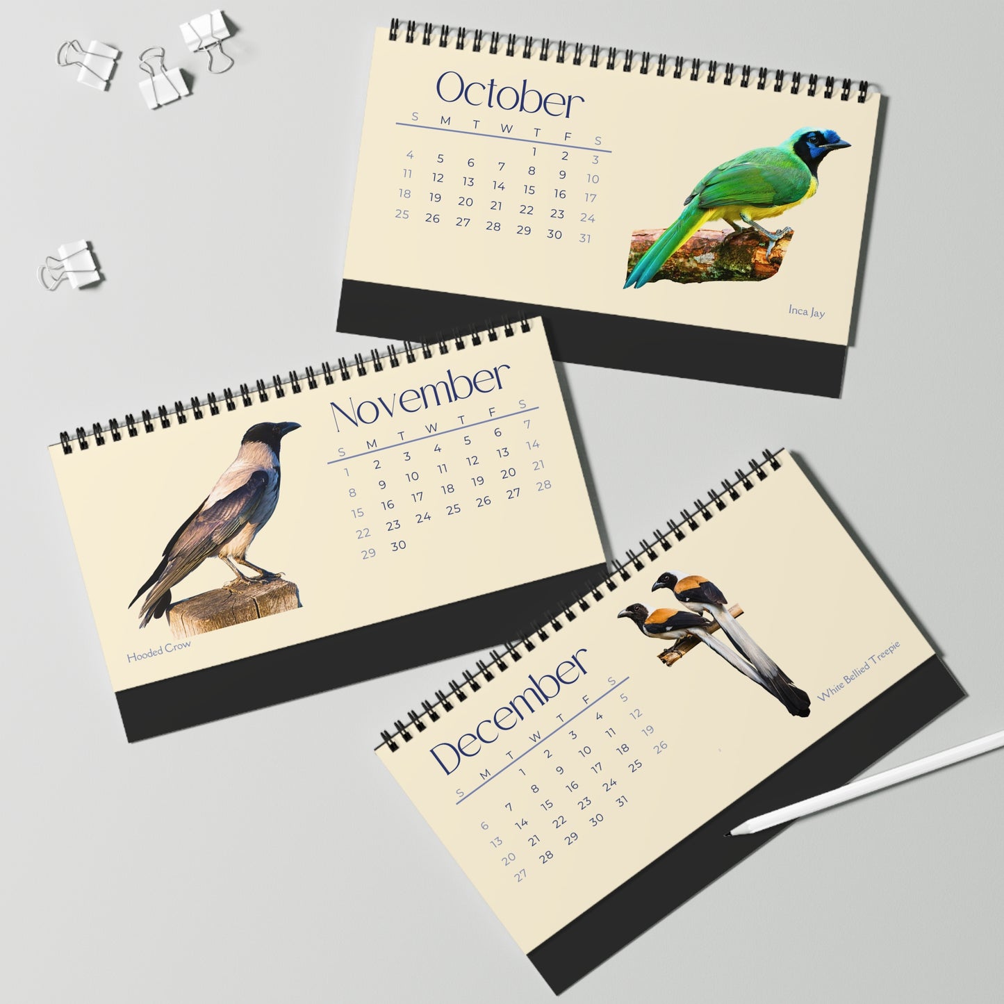 Cool Corvids of 2026 Desktop Calendar