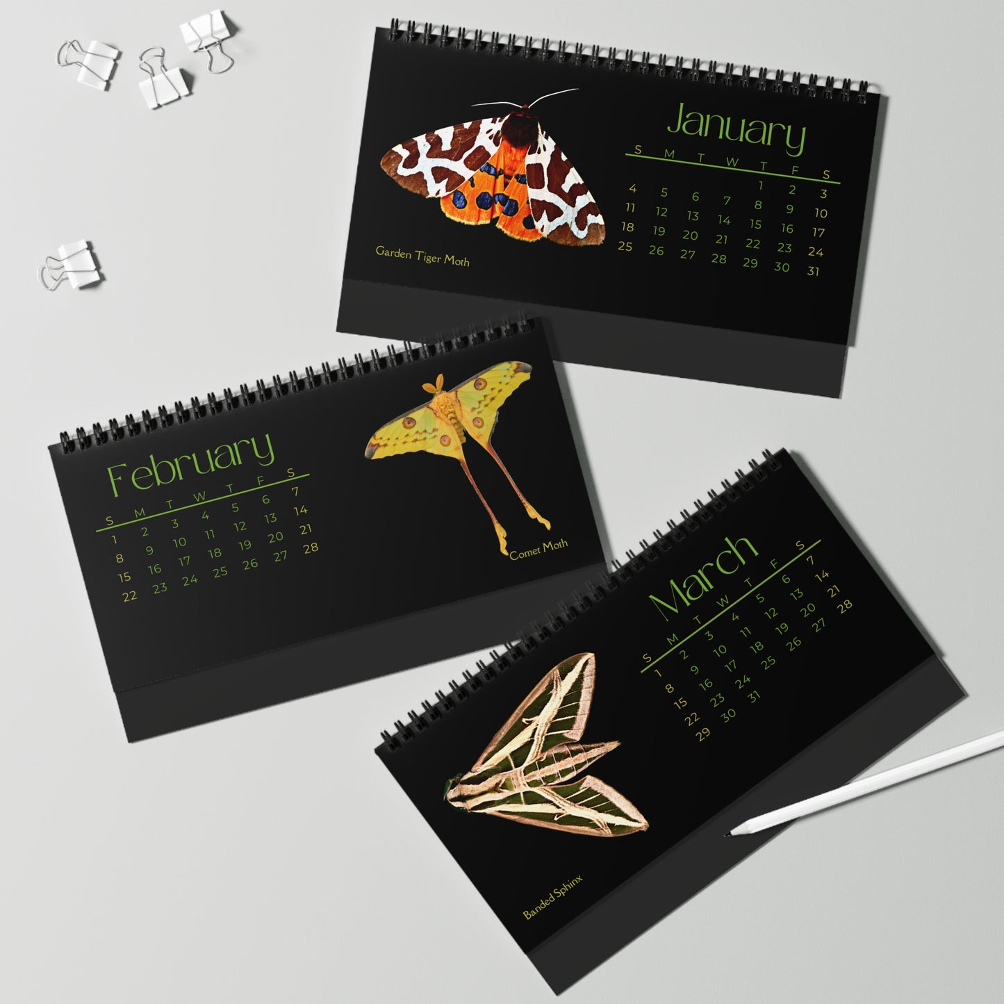 Marvelous Moths of 2026 Desktop Calendar
