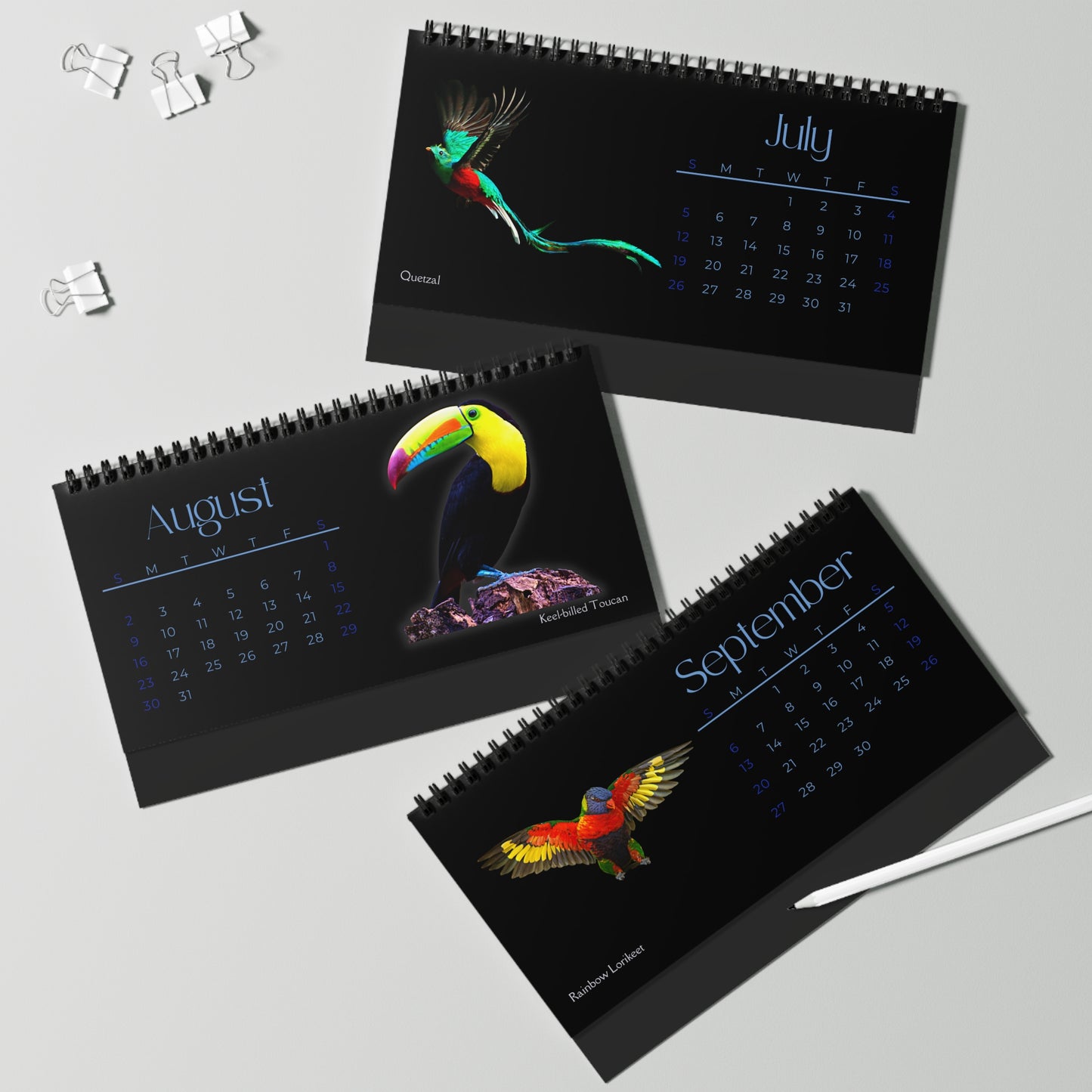 Brilliant Birds of 2026 Desktop Calendar