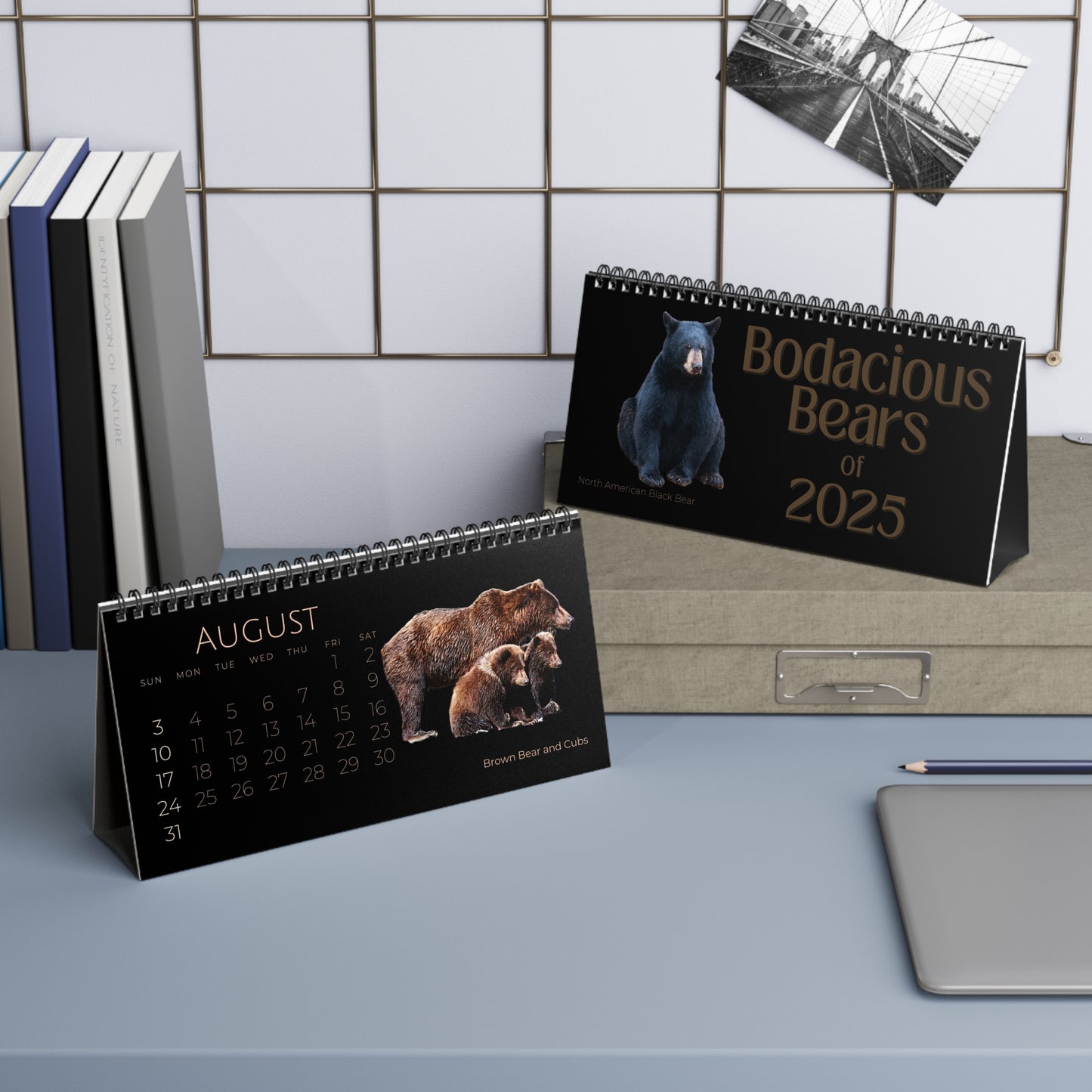 Bodacious Bears of 2025 Desktop Calendar