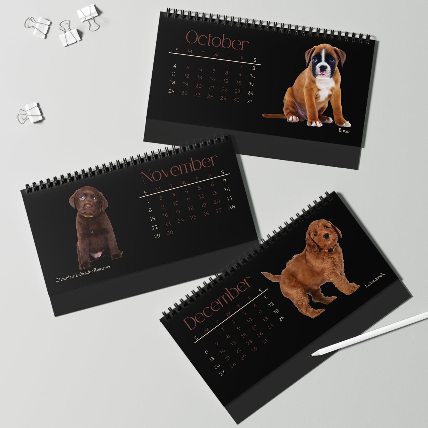 Real Puppies of 2026 Desktop Calendar