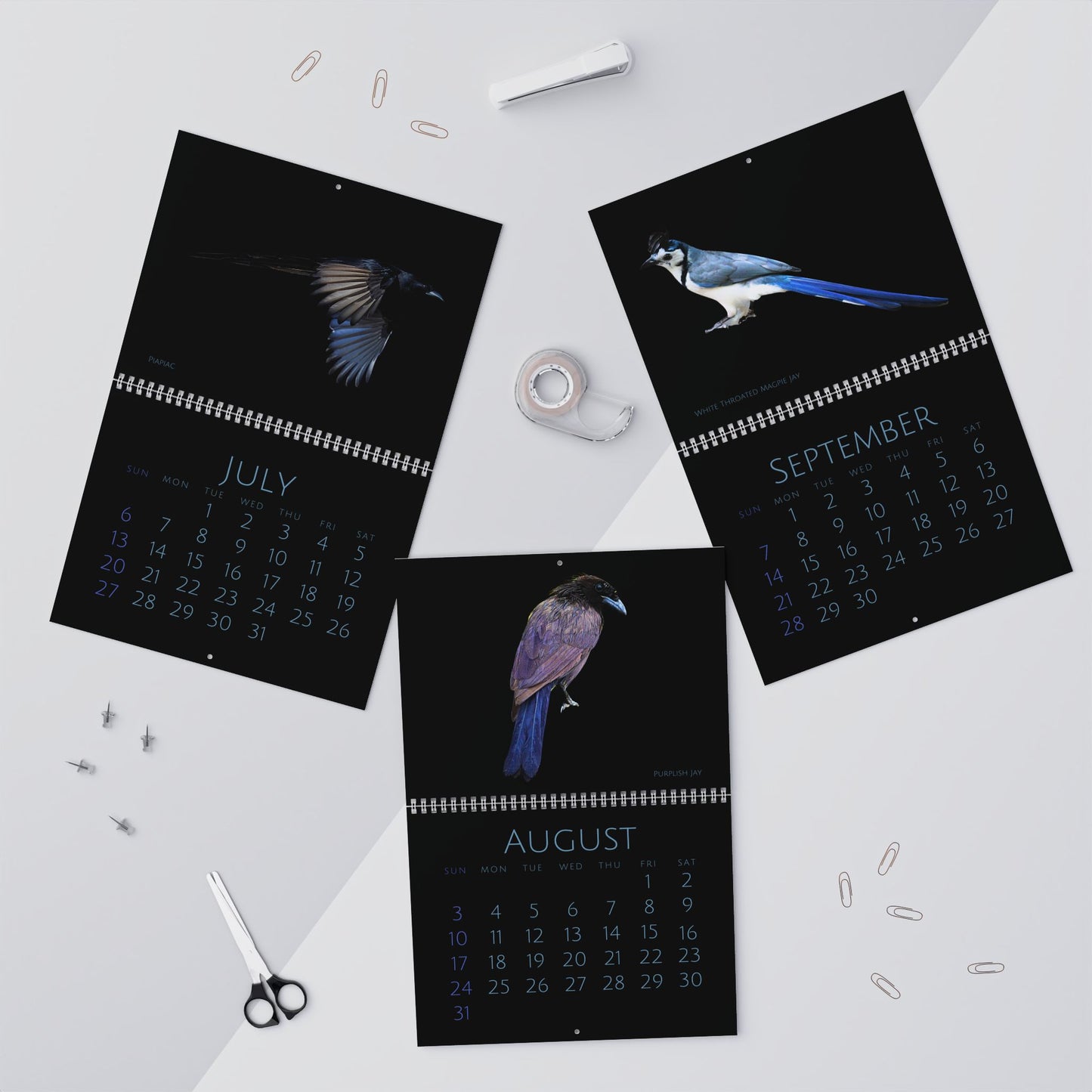 Cool Corvids of 2025 Wall Calendar