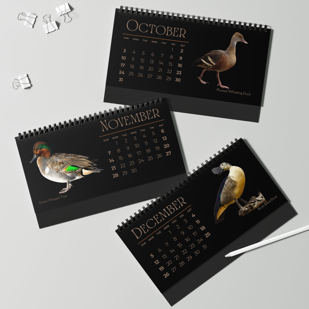 Dapper Ducks of 2027 Desktop Calendar