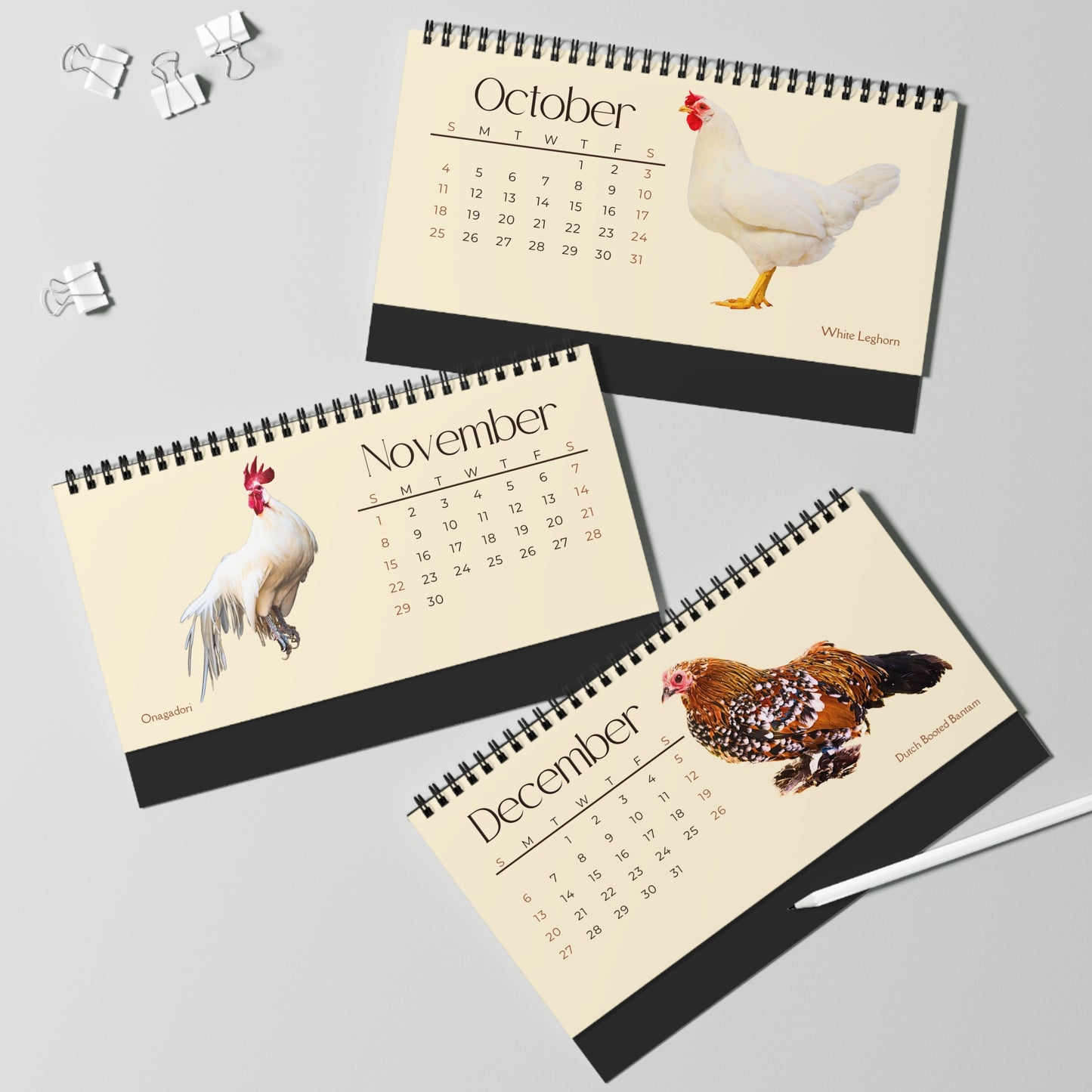 Charming Chickens of 2026 Desktop Calendar