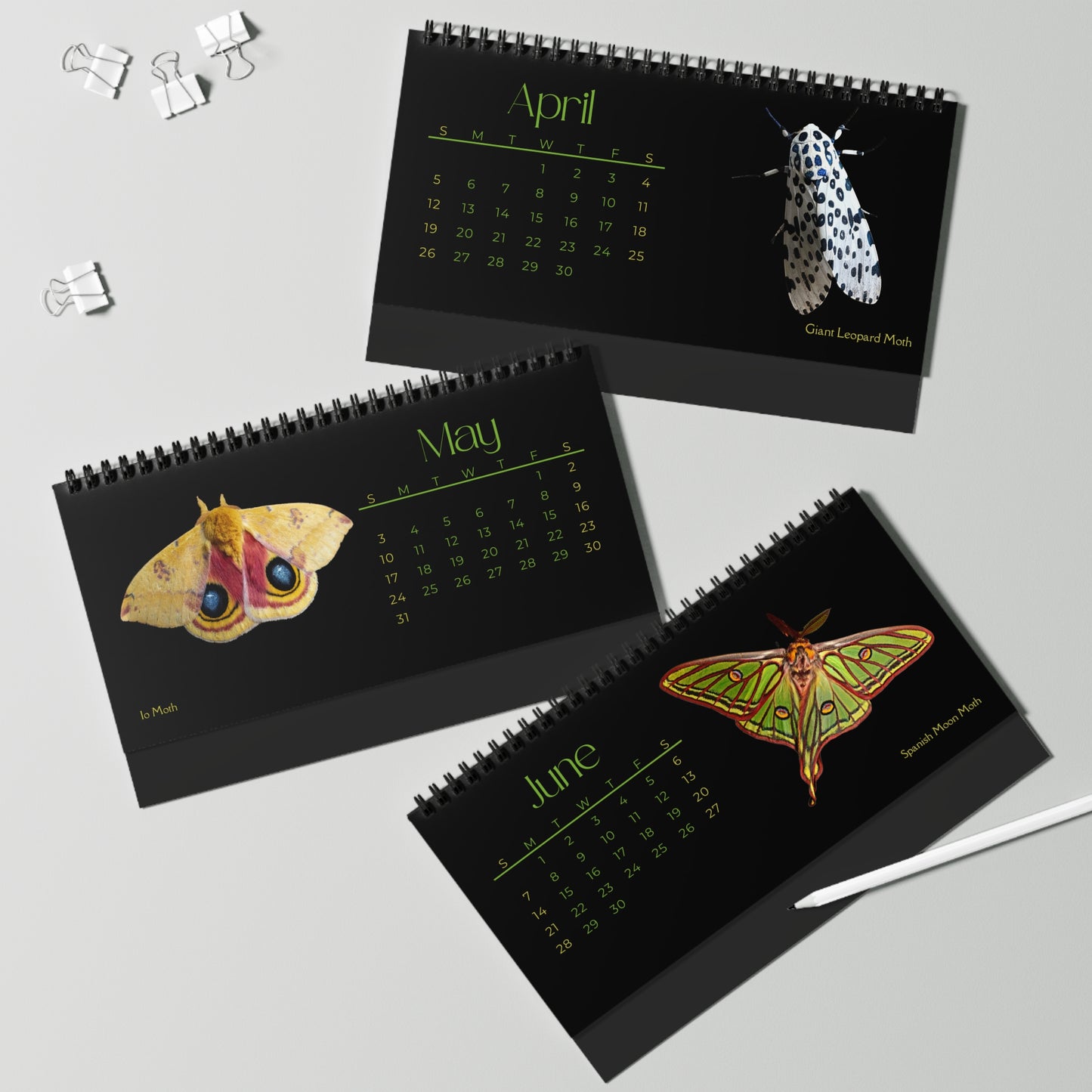Marvelous Moths of 2026 Desktop Calendar