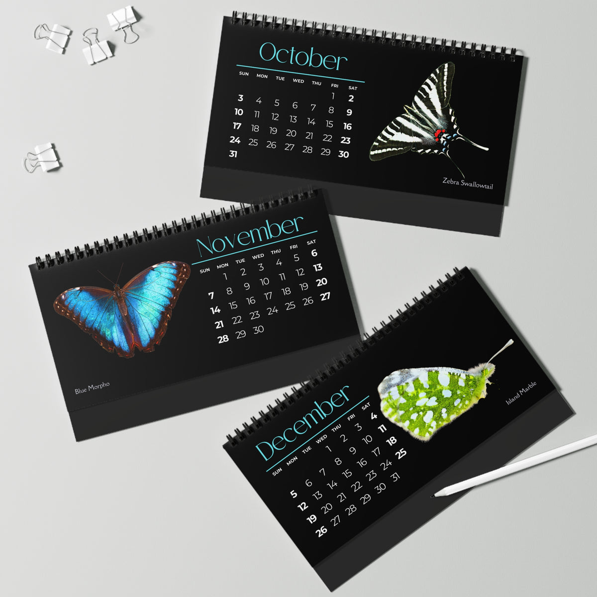 Beautiful Butterflies of 2027 Desktop Calendar