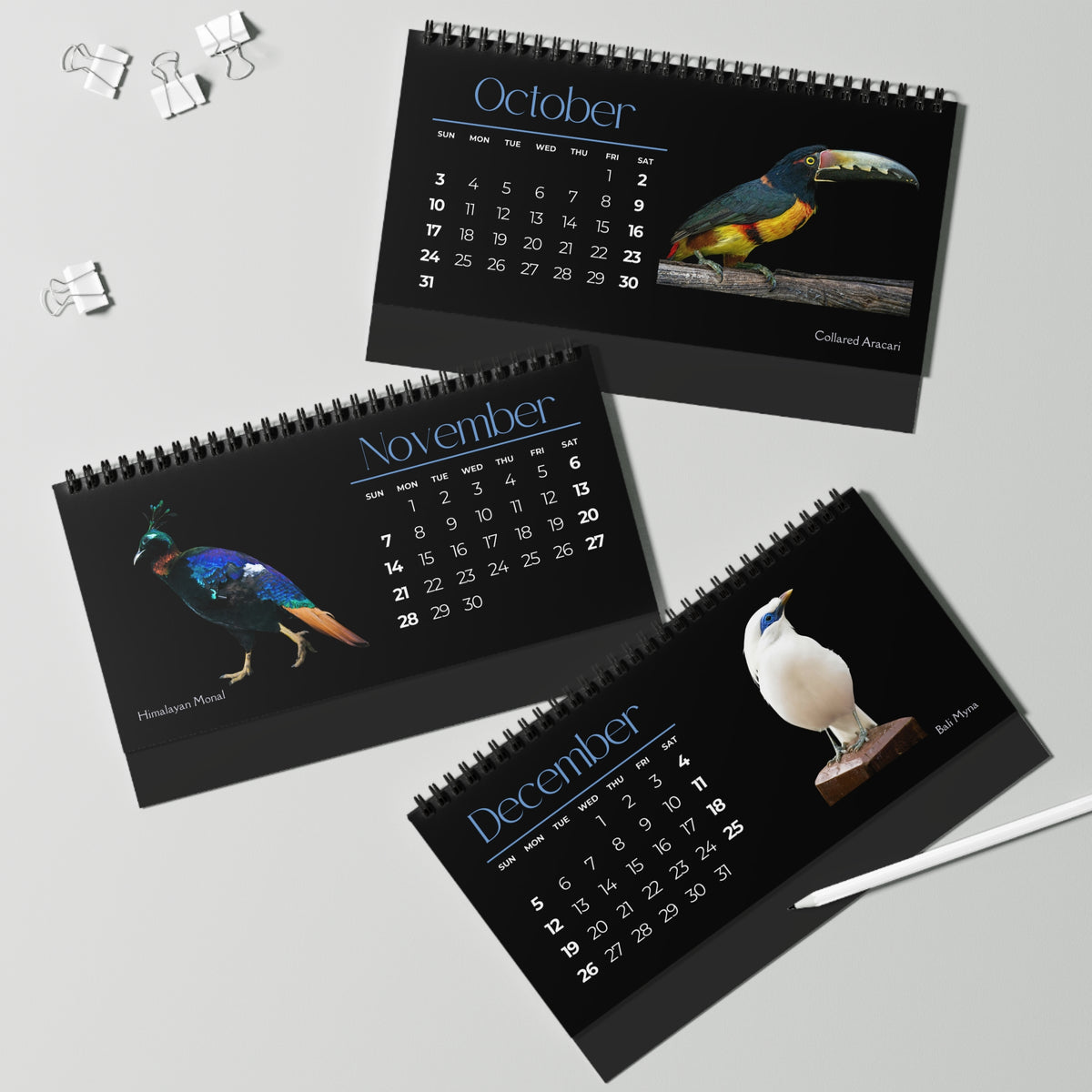 Brilliant Birds of 2027 Desktop Calendar