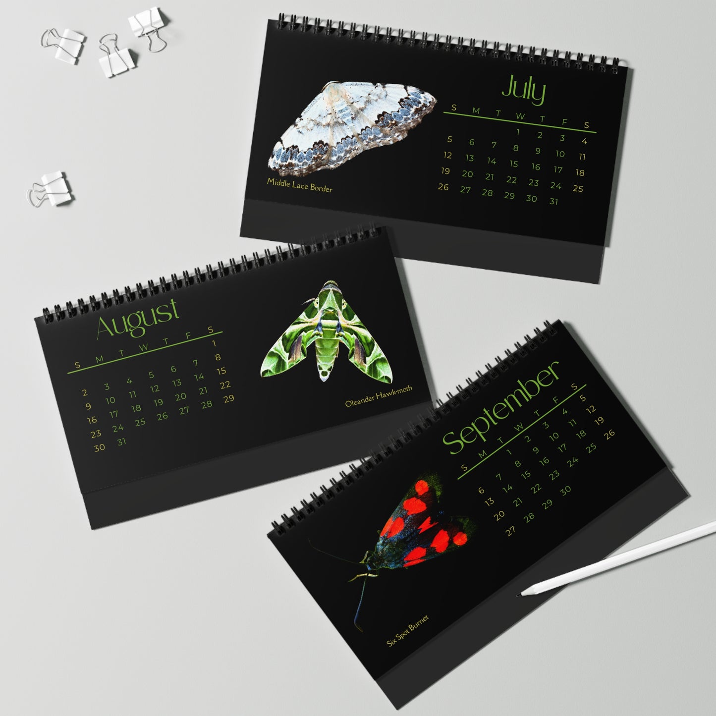 Marvelous Moths of 2026 Desktop Calendar