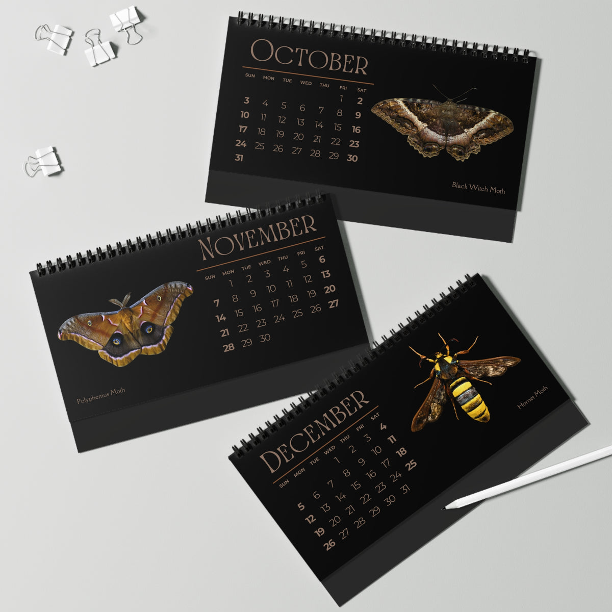 Marvelous Moths of 2027 Desktop Calendar