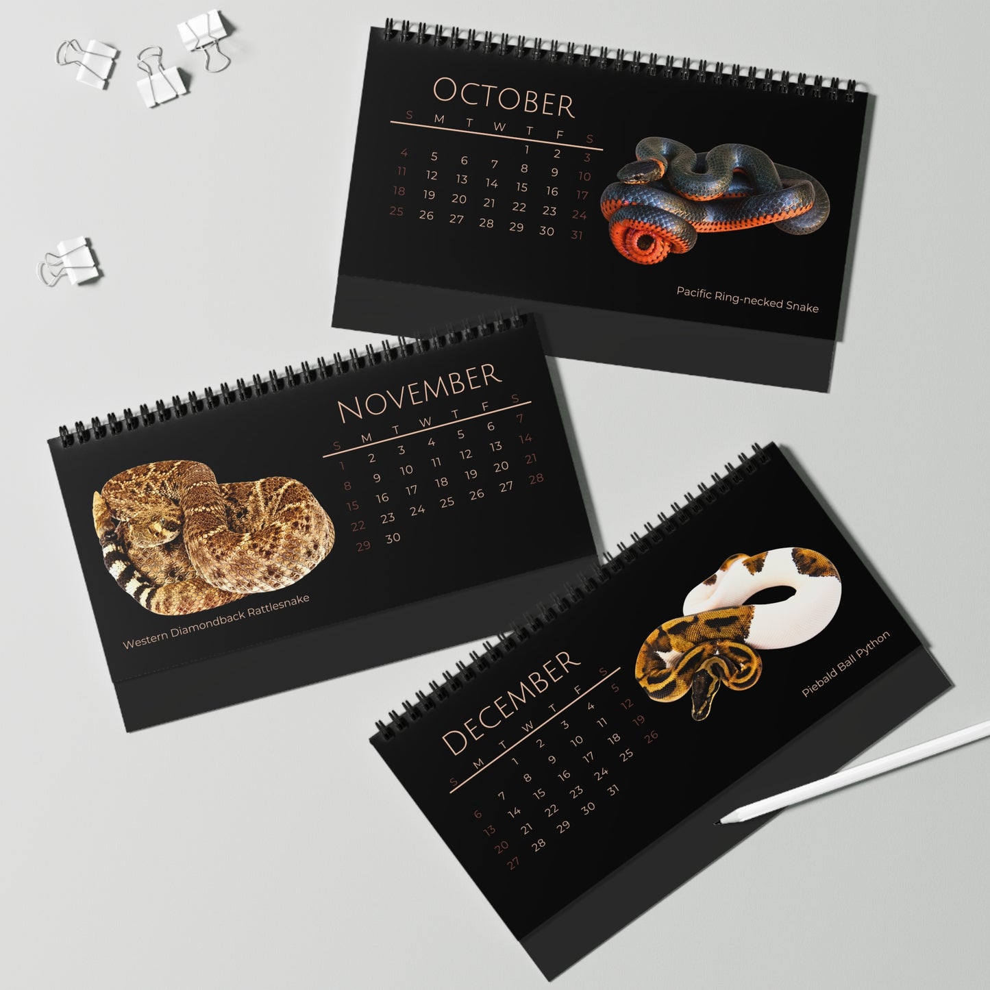 Striking Snakes of 2026 Desktop Calendar