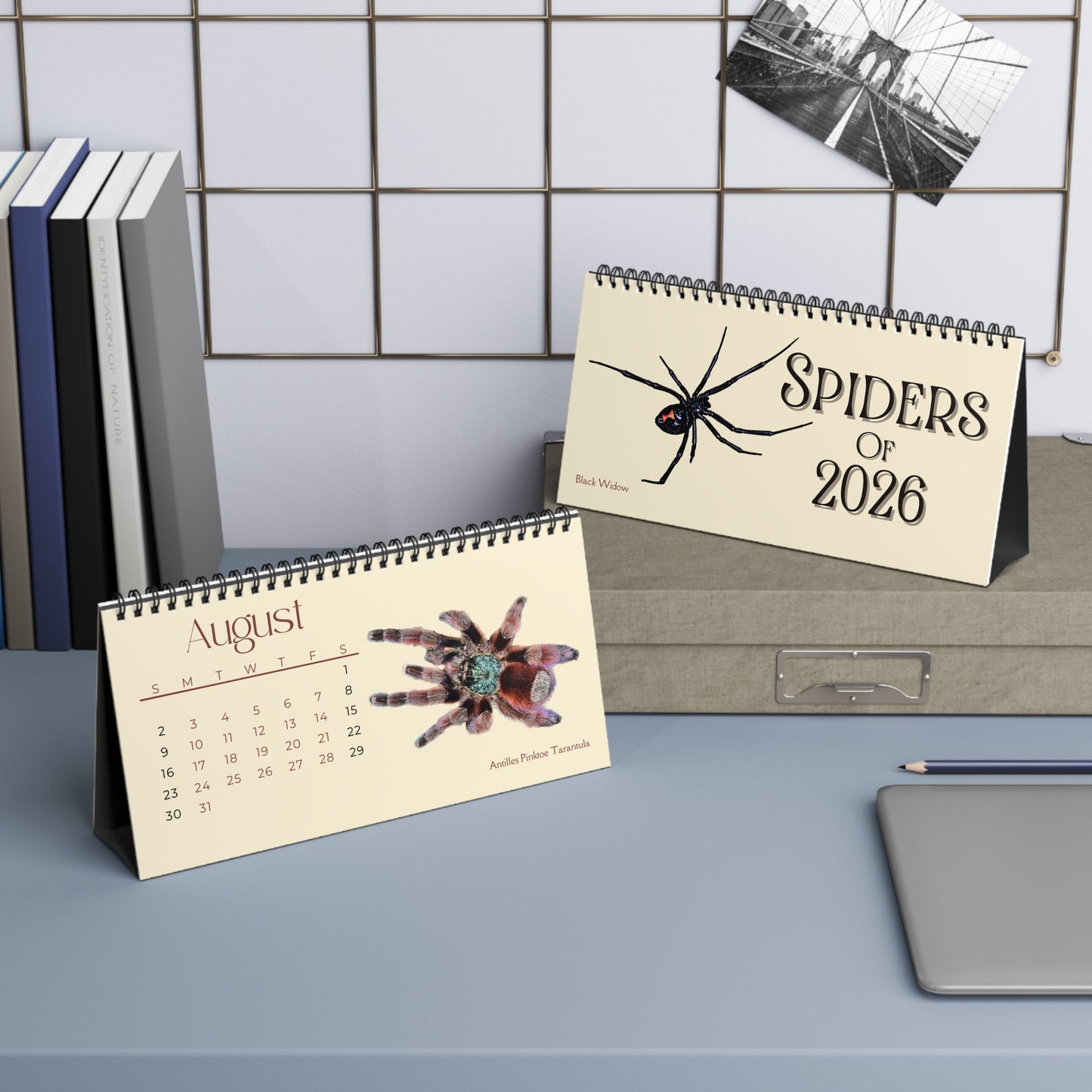 Spiders of 2026 Desktop Calendar